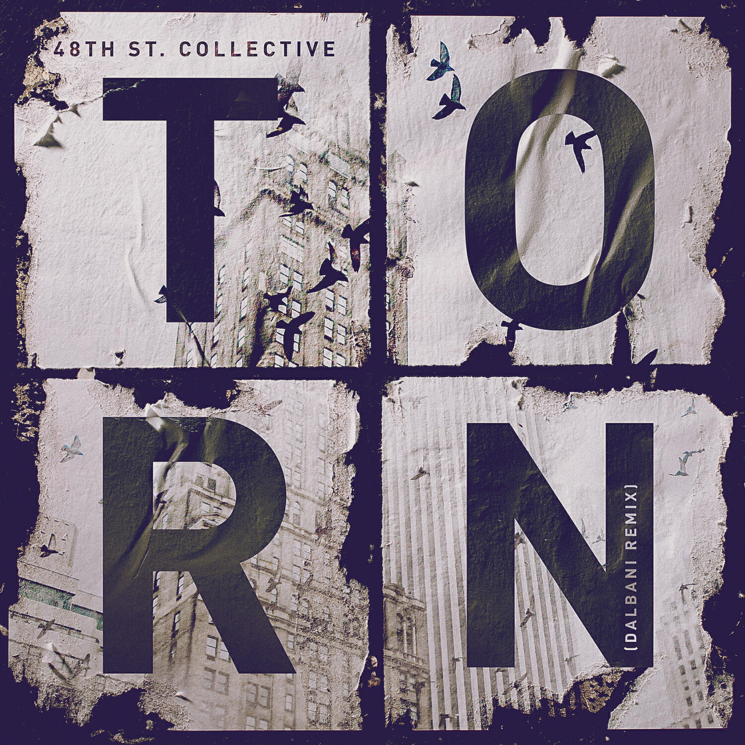 Релиз Torn (Dalbani Remix)