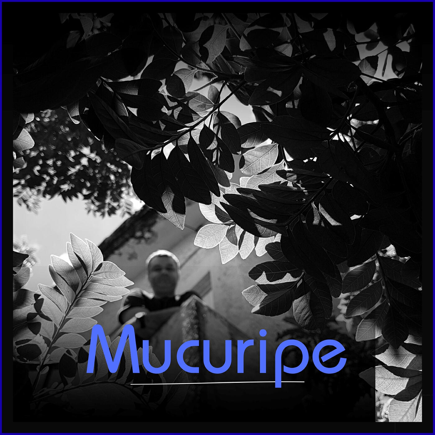 Релиз Mucuripe