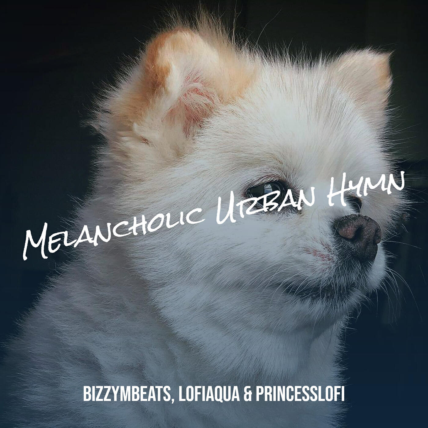 Релиз Melancholic Urban Hymn