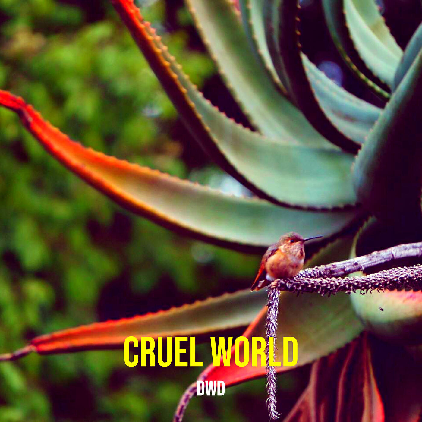 Релиз Cruel World