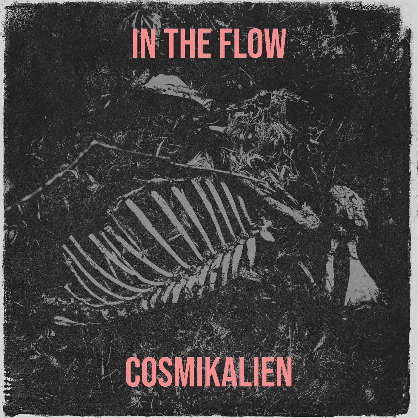 Релиз In the Flow