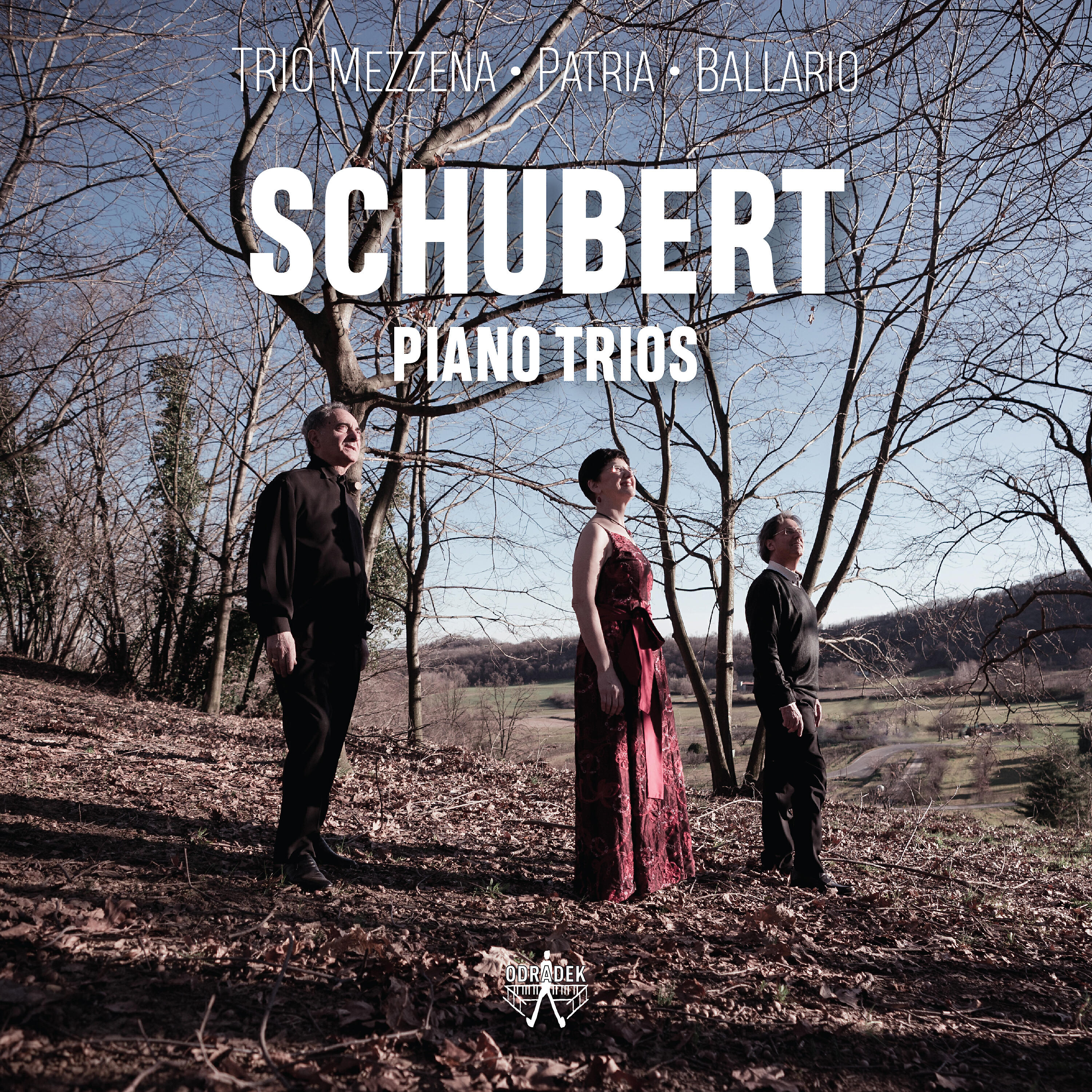 Релиз Schubert Piano Trios