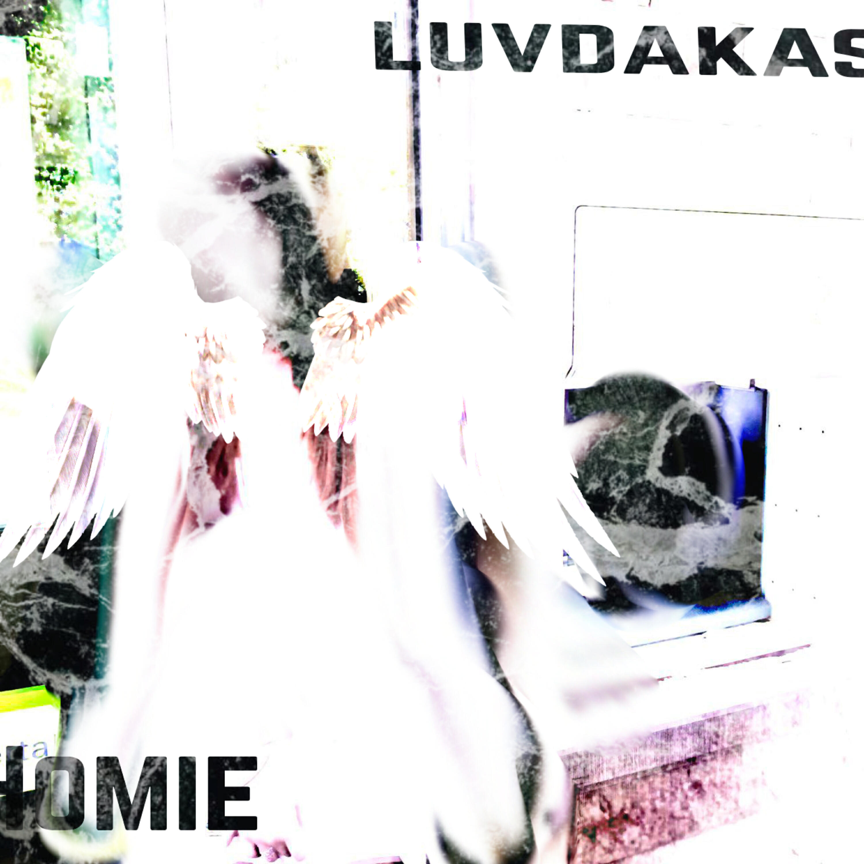 Постер альбома Homie