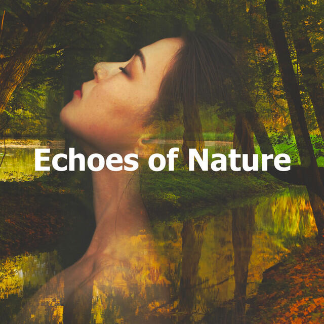 Echoes of Nature: Bird Songs