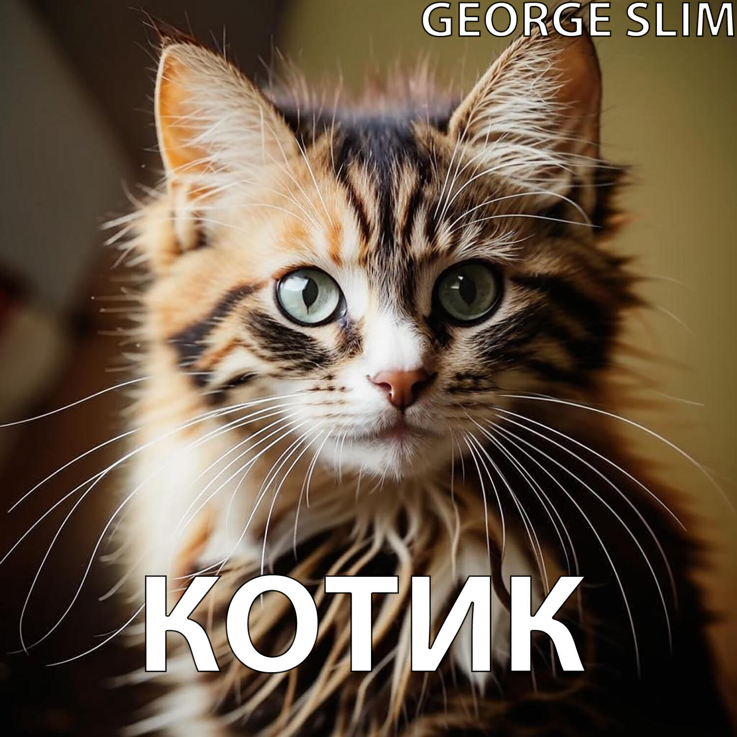 Релиз Котик