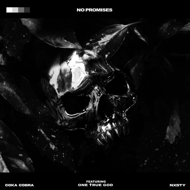 Релиз No Promises