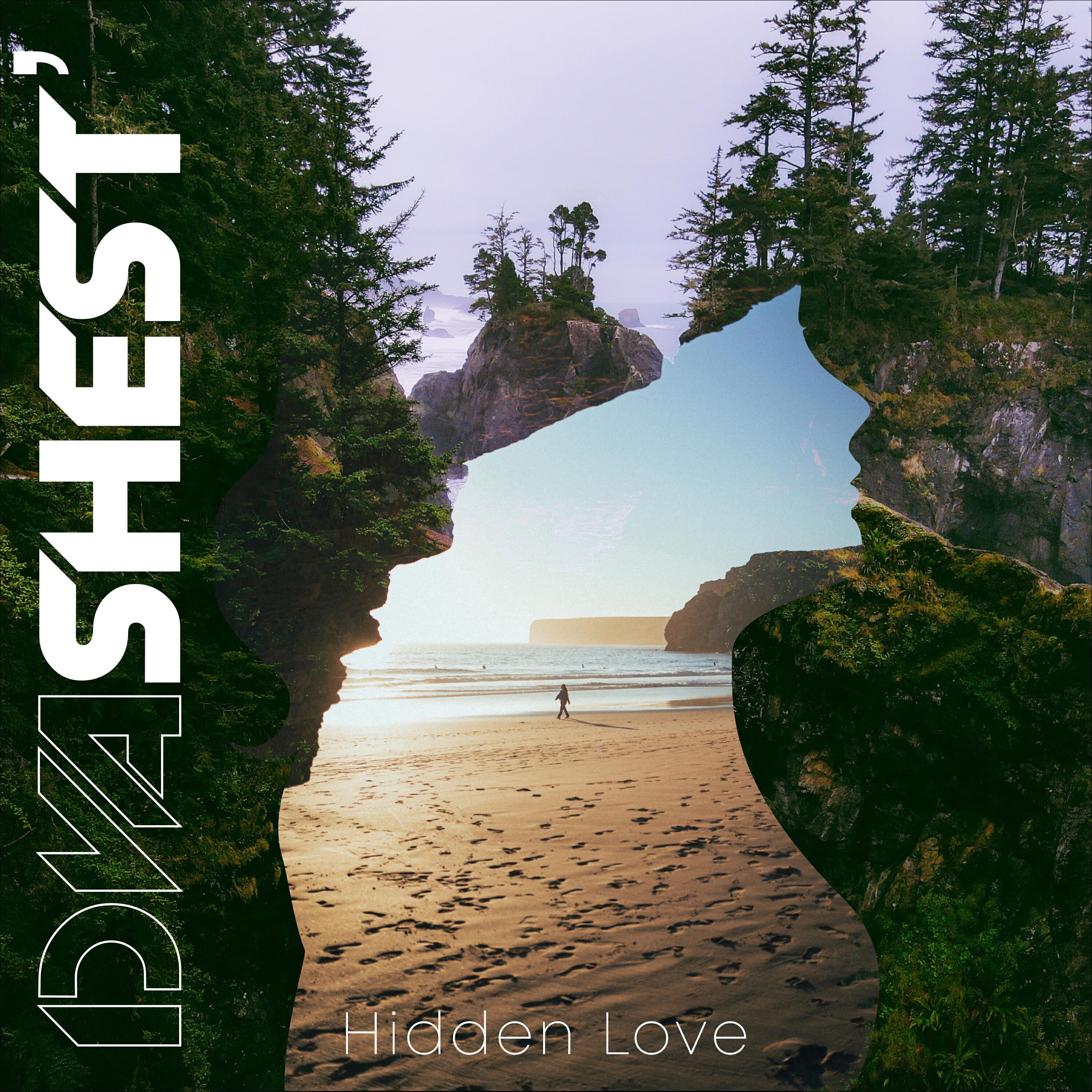 Релиз Hidden Love