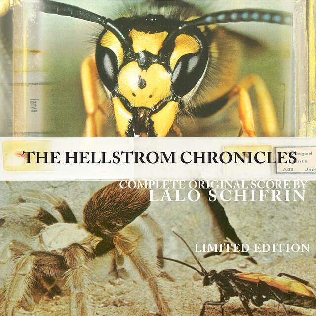 Релиз Hellstorm Chronicles, the