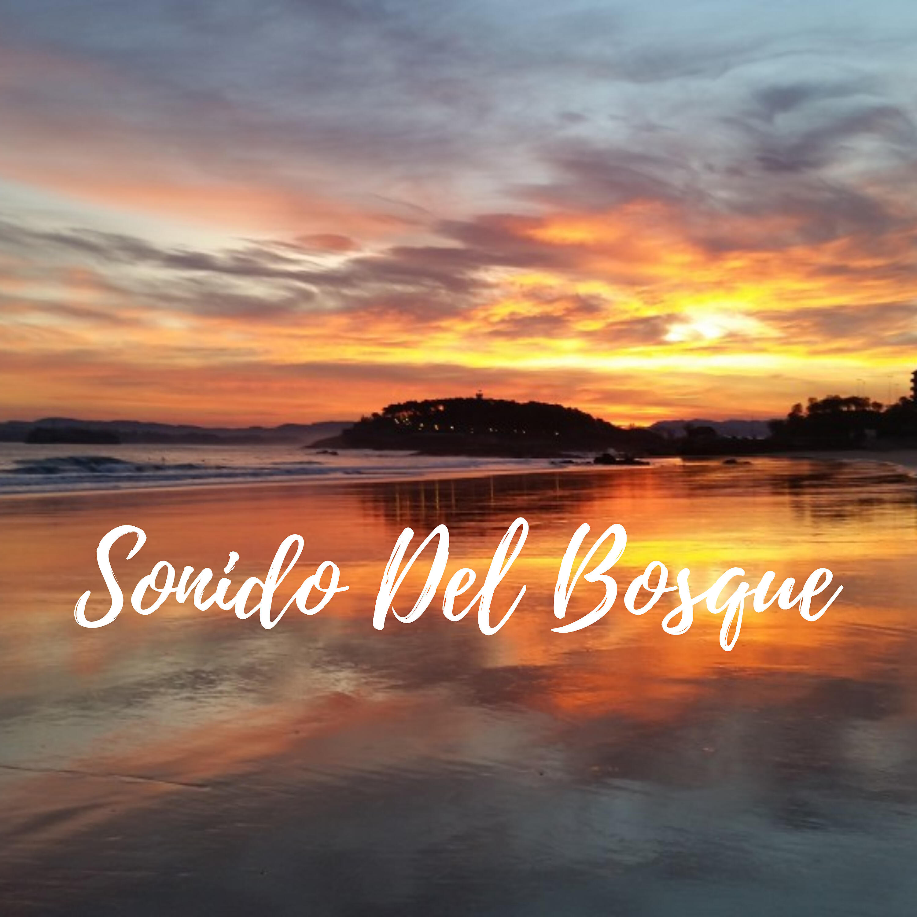 Релиз Sonido Del Bosque