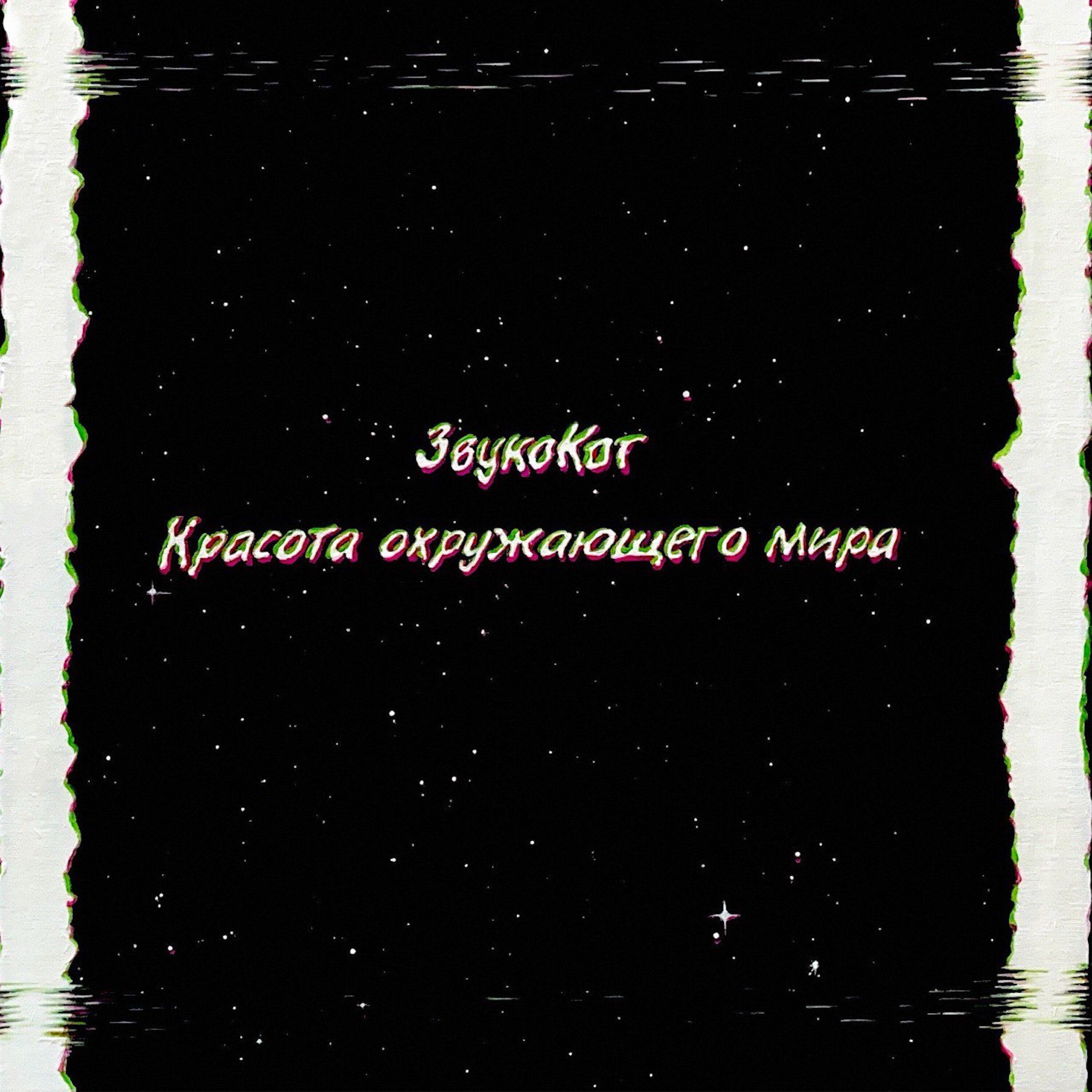 ЗвукоКот