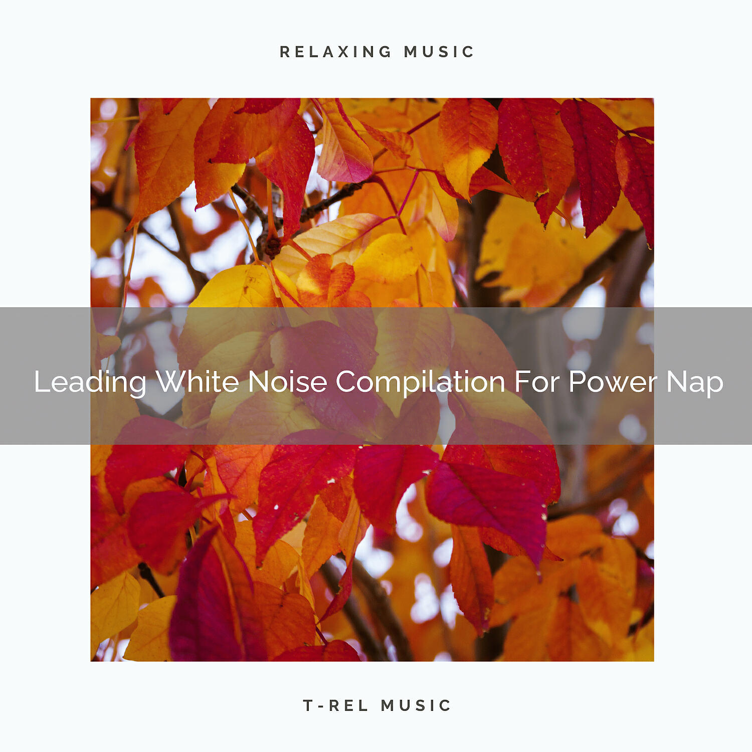 Релиз Leading White Noise Compilation For Power Nap
