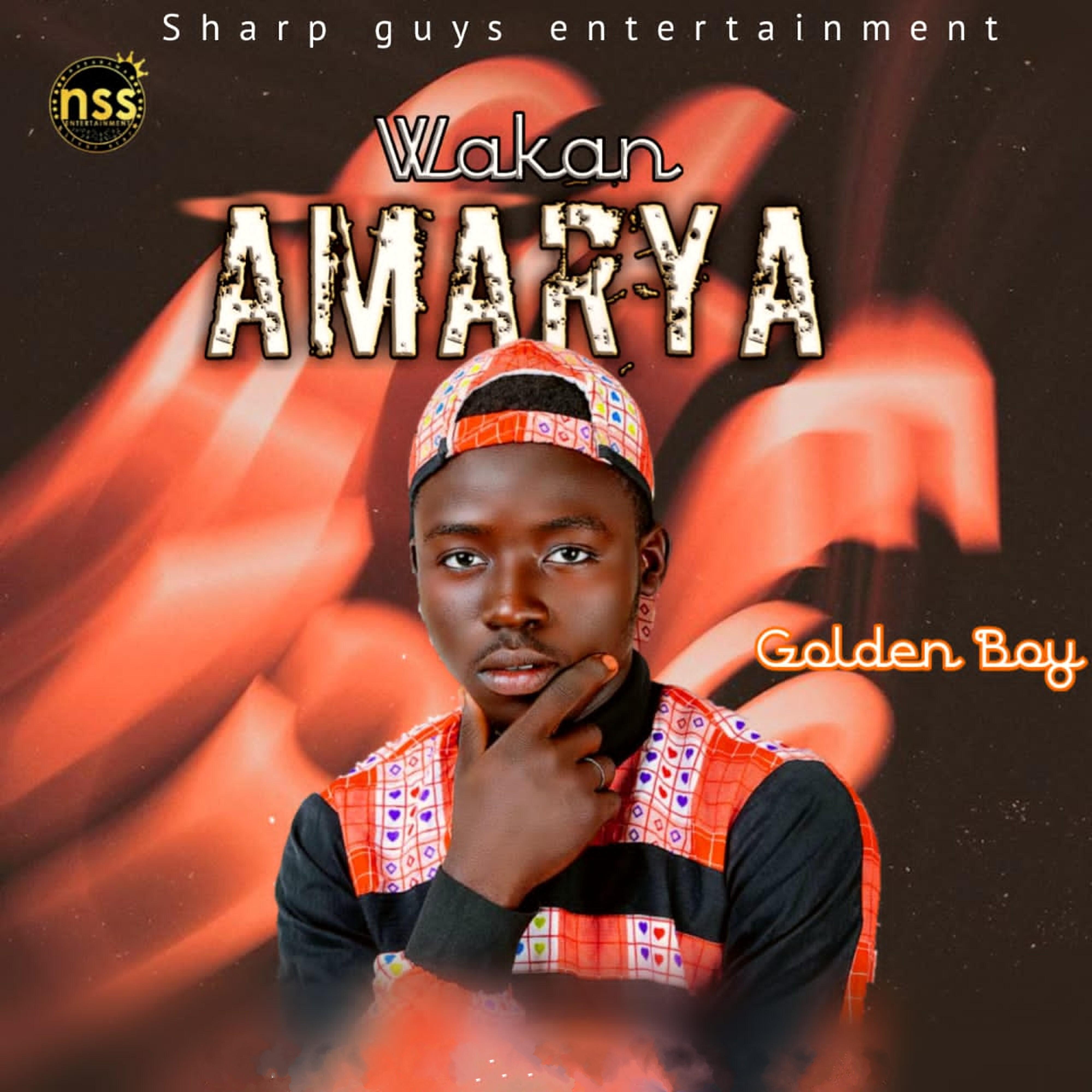 Релиз Amarya