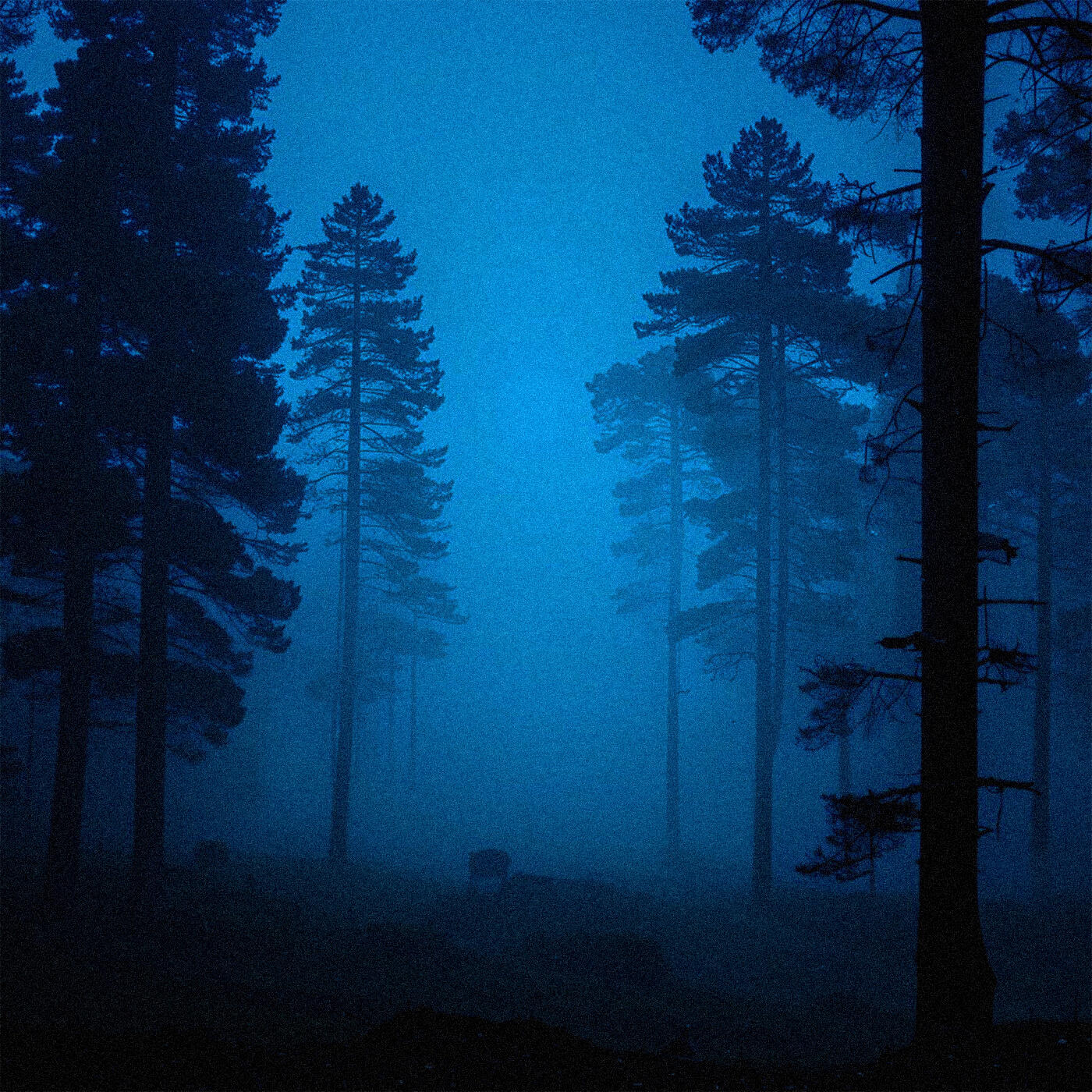 Постер альбома bluefog