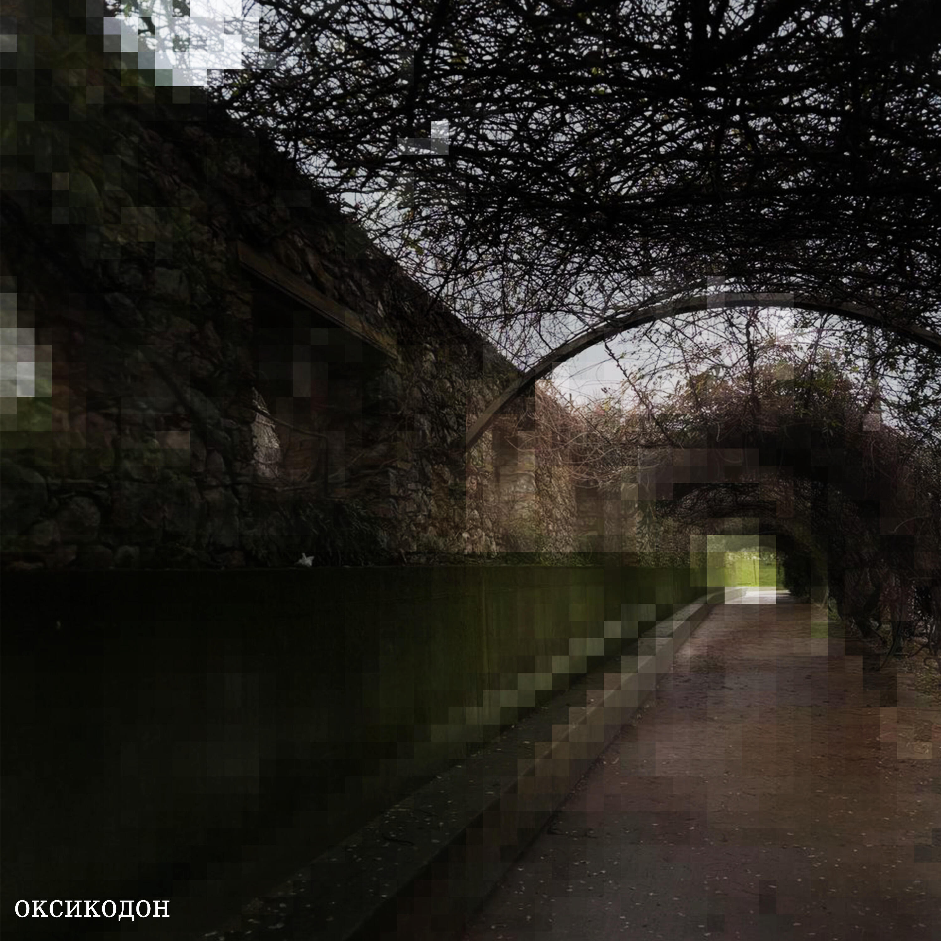 Релиз оксикодон