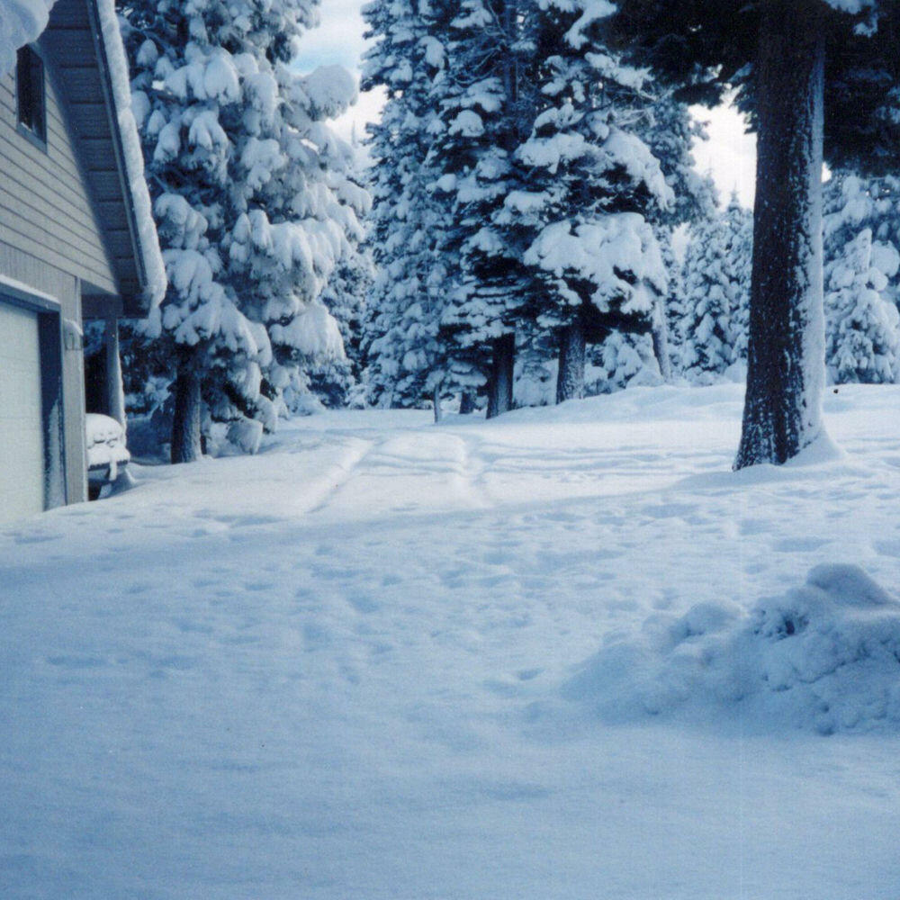 Релиз digital snow