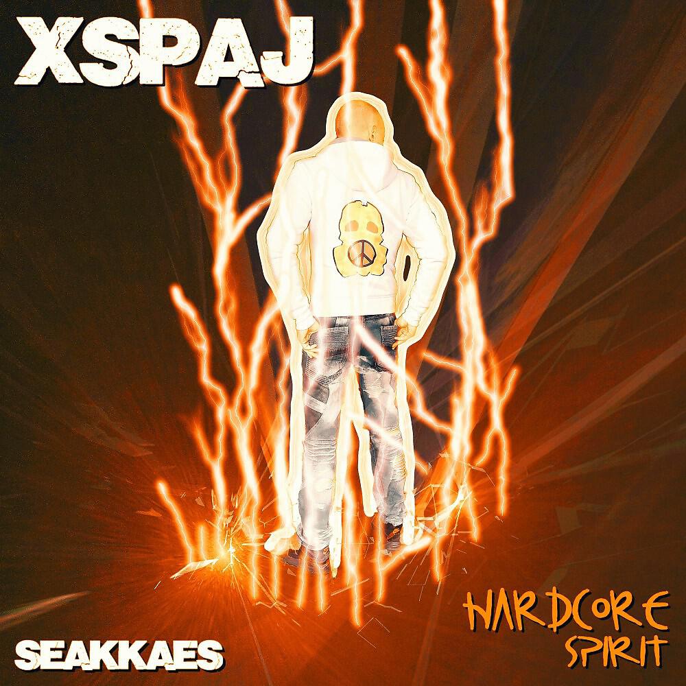 Релиз Hardcore Spirit