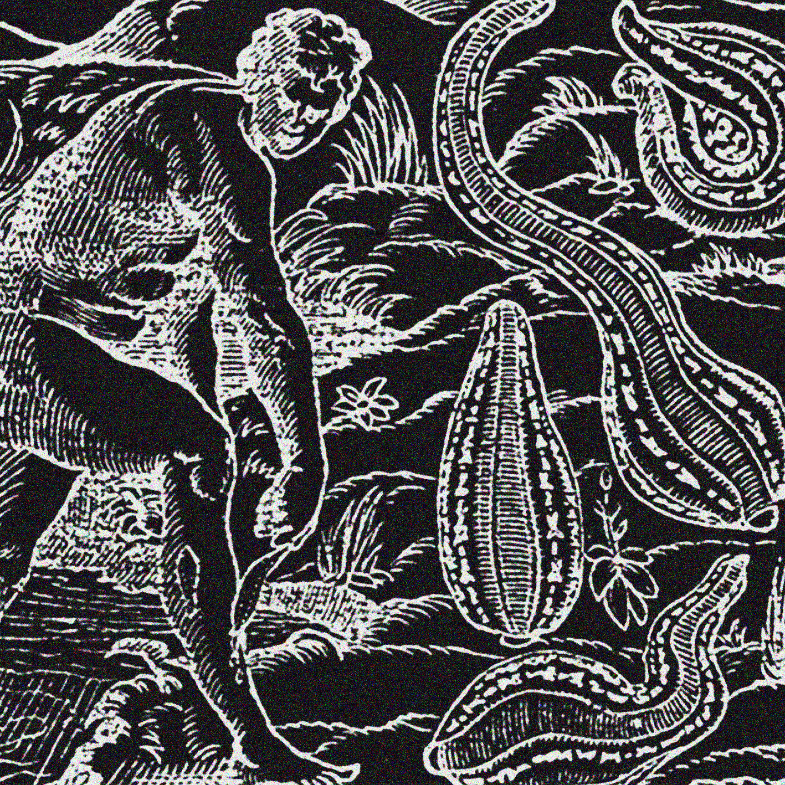 Релиз anatomy of a leech