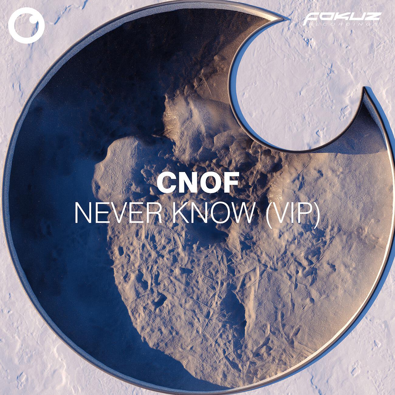 Релиз Never Know (VIP)