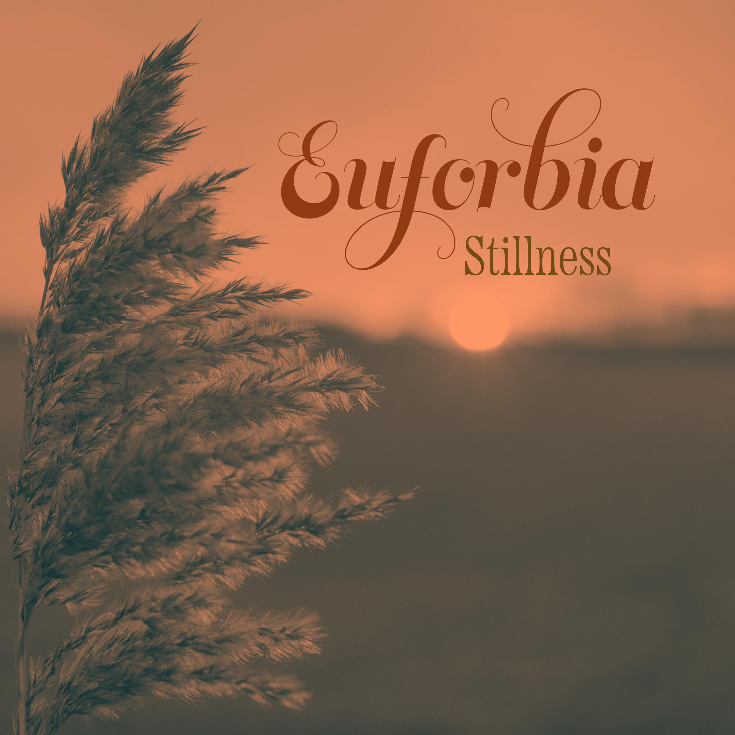 Релиз Stillness
