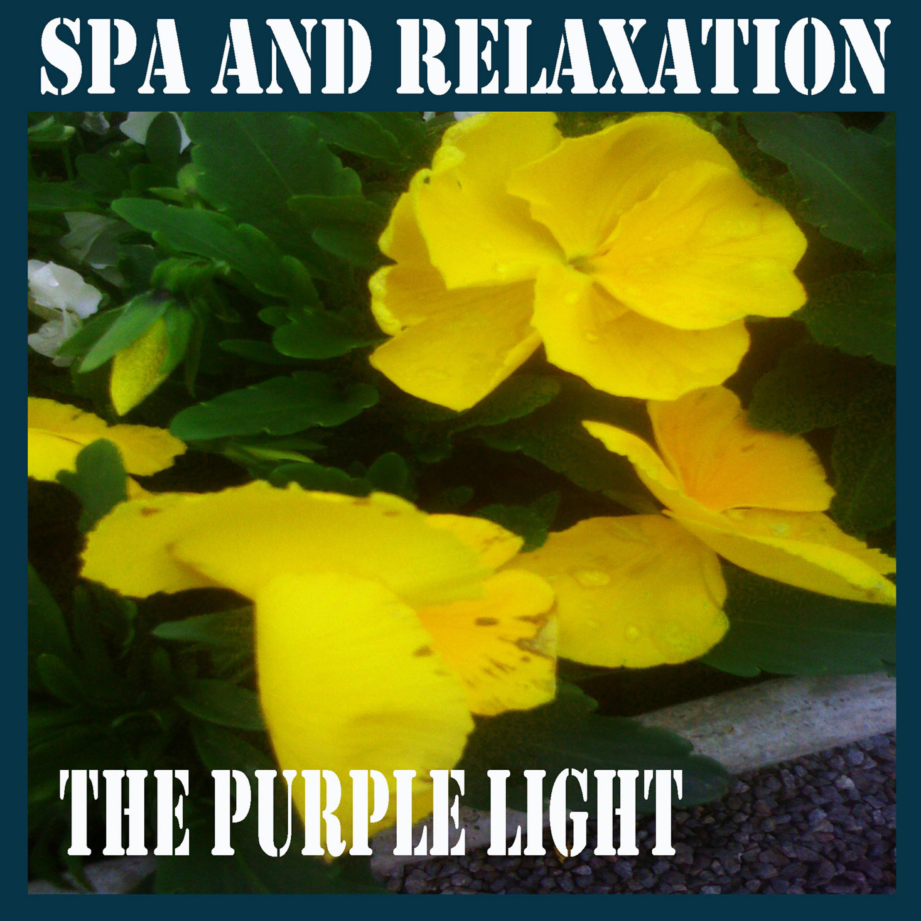 The Purple Light