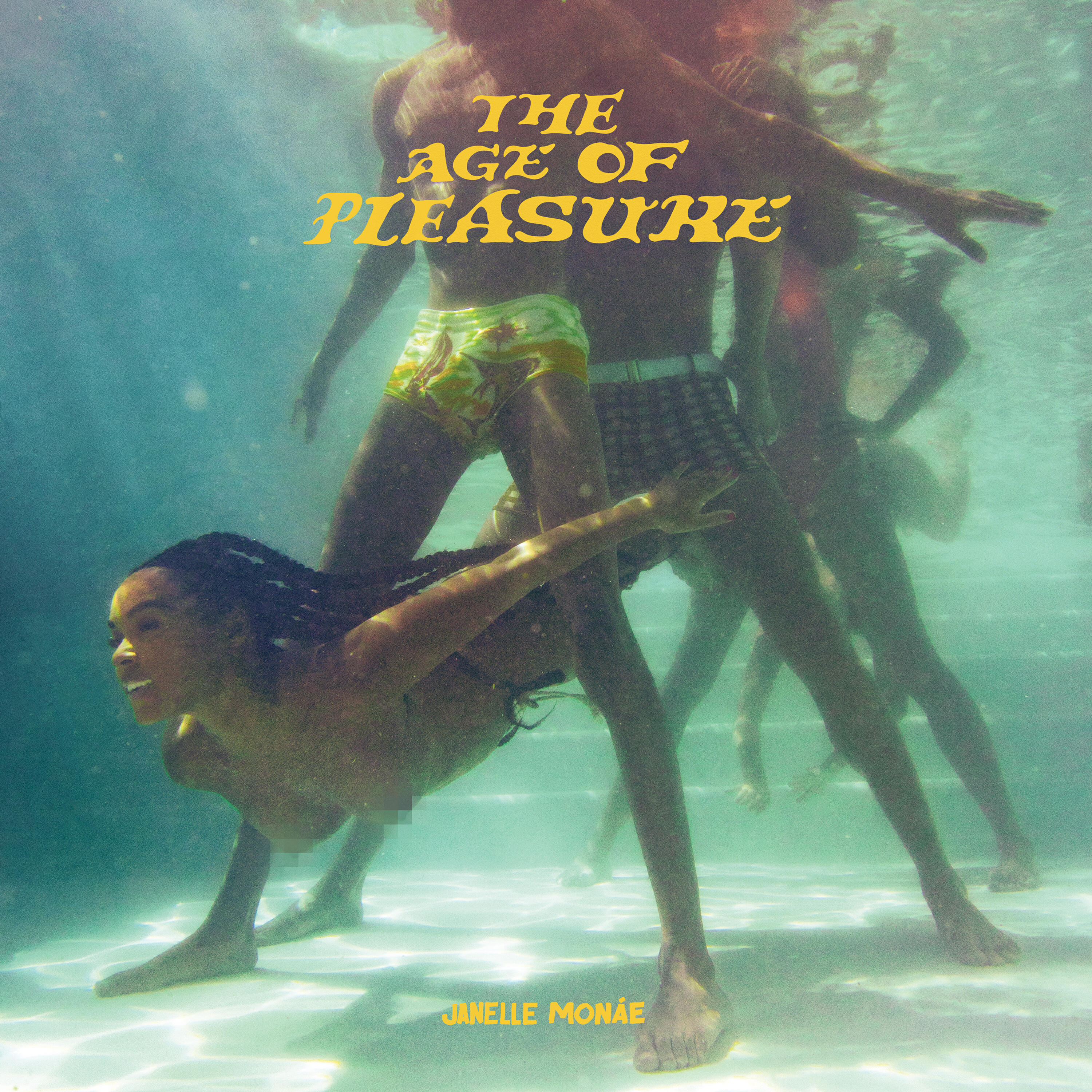 Релиз The Age of Pleasure