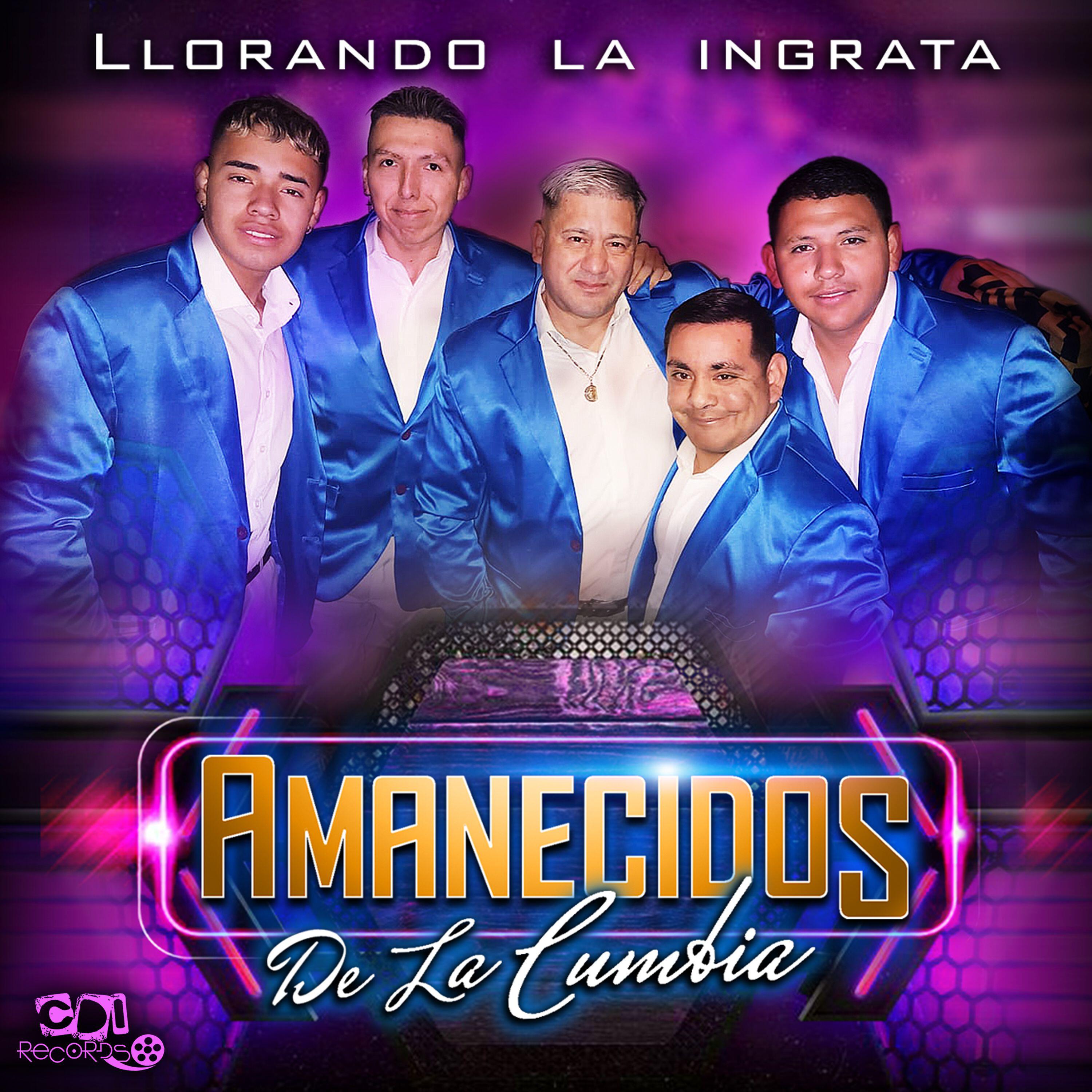 Amanecidos de la cumbia