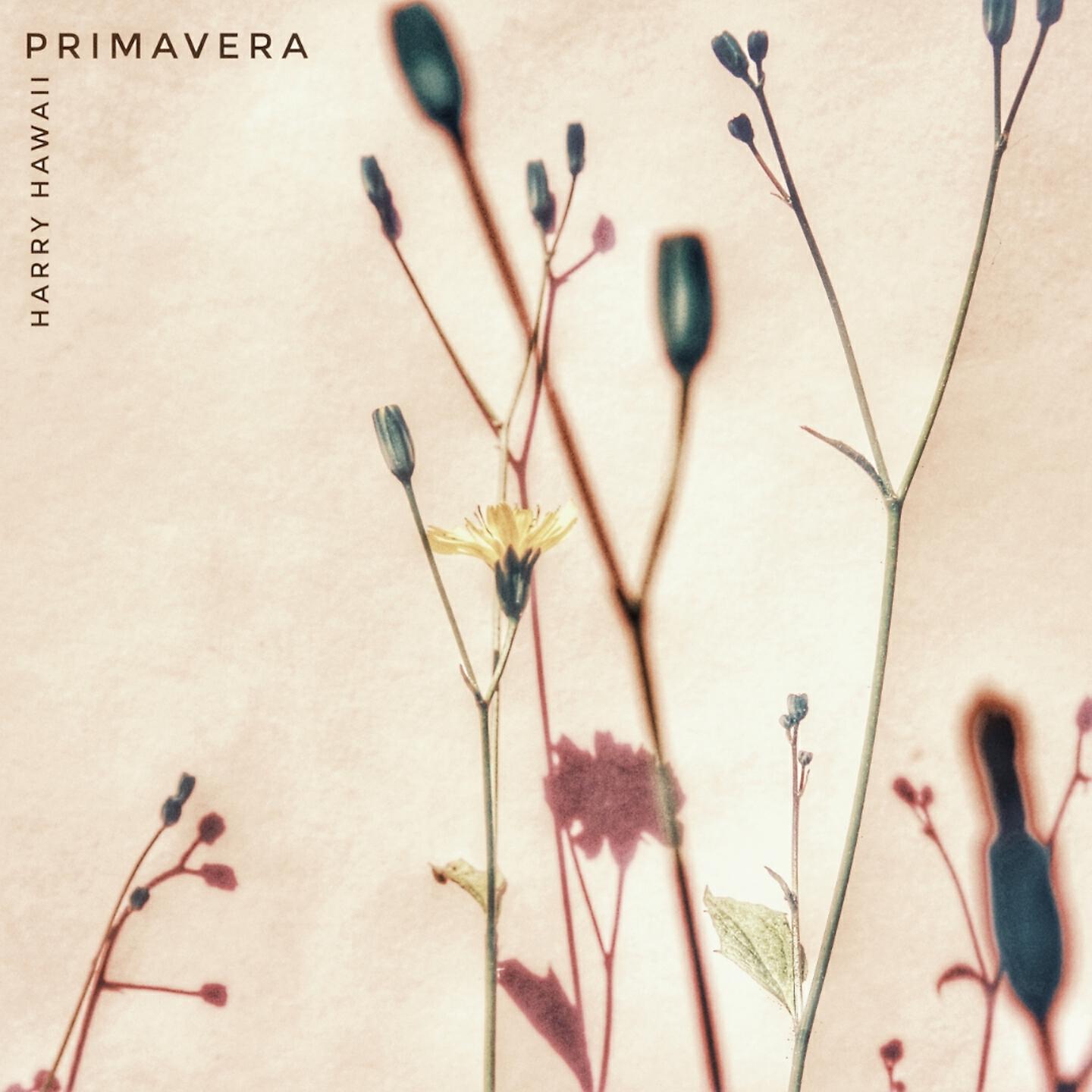 Релиз Primavera