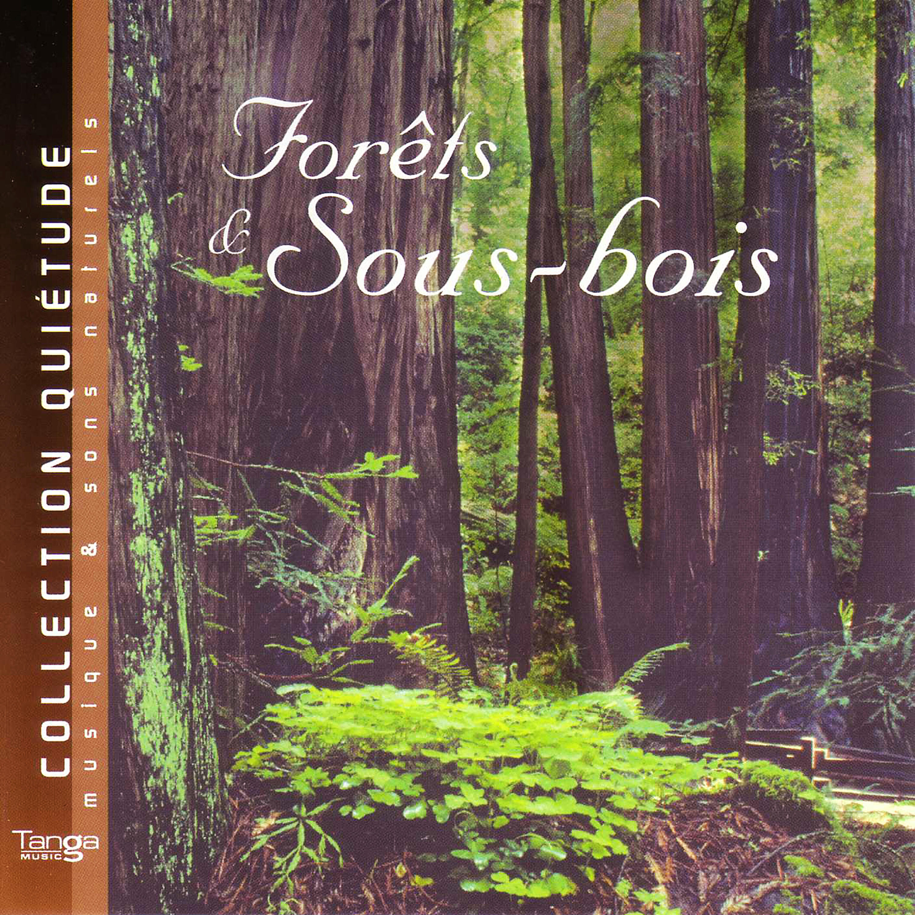 Quietude (Musique