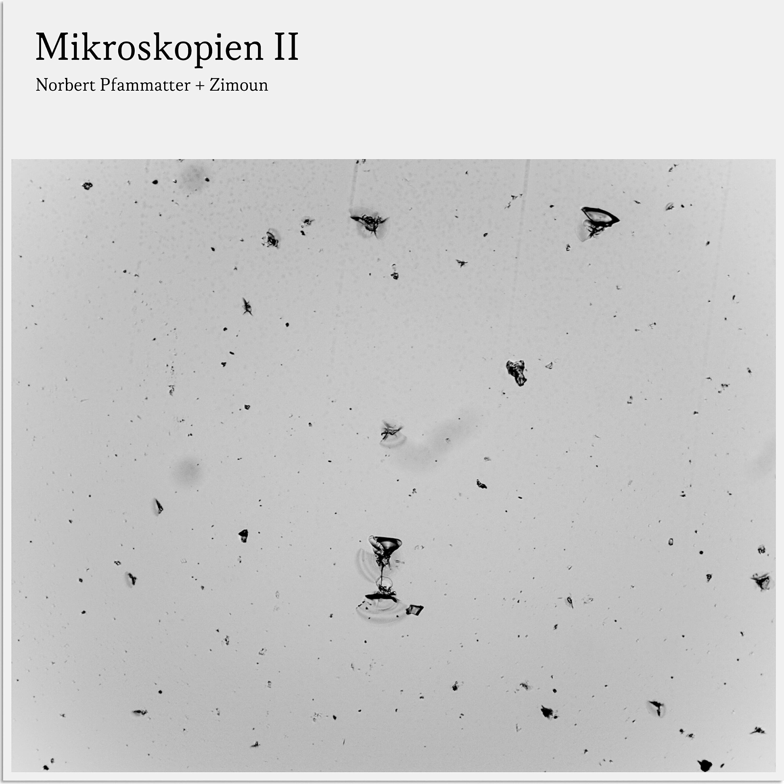 Релиз Mikroskopien II