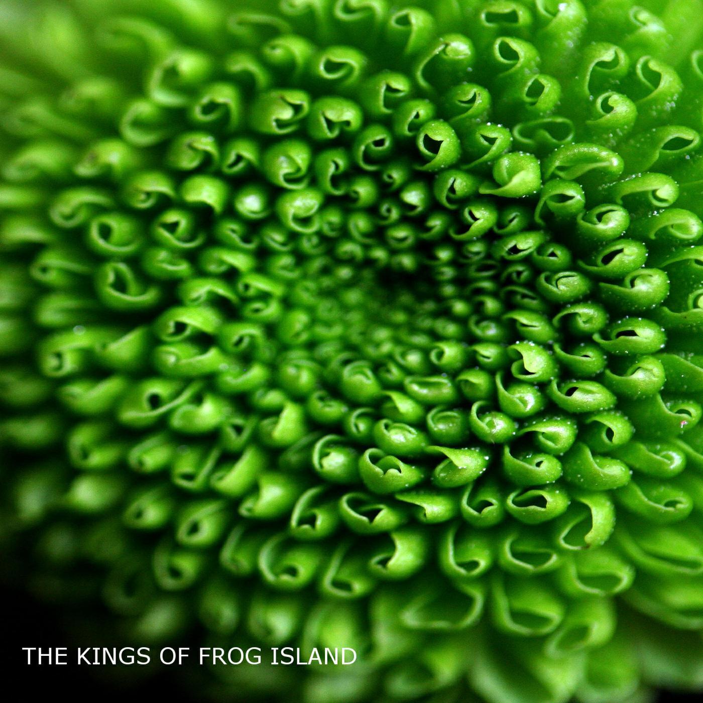 Релиз The Kings of Frog Island V