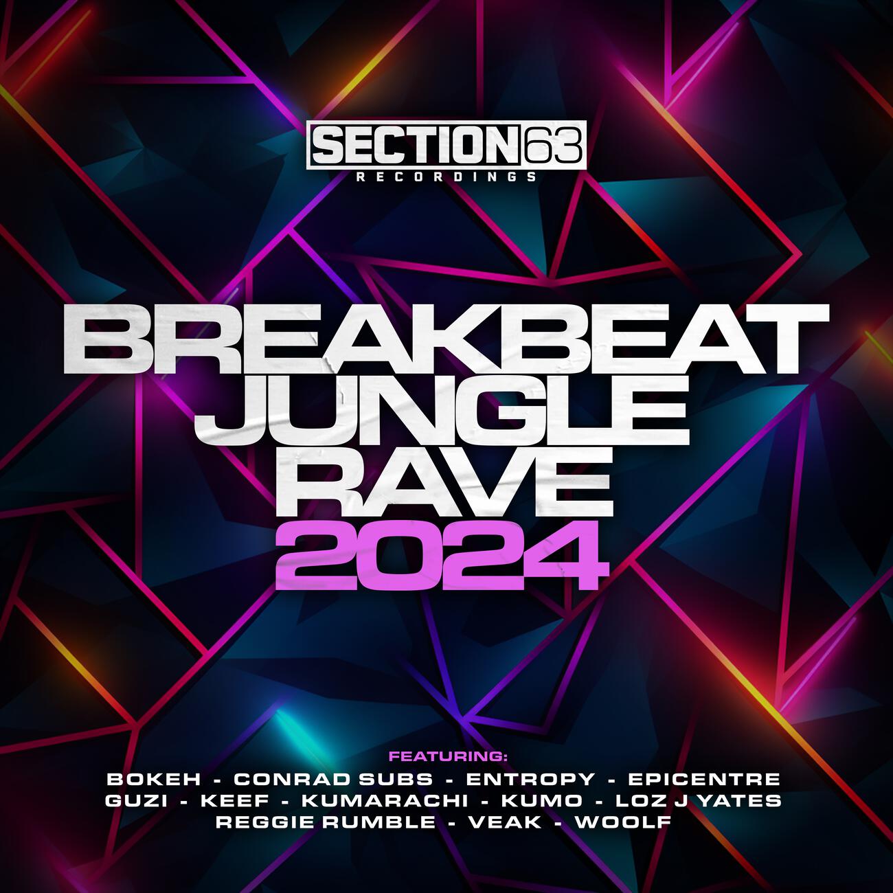 Релиз Breakbeat, Jungle, Rave - 2024