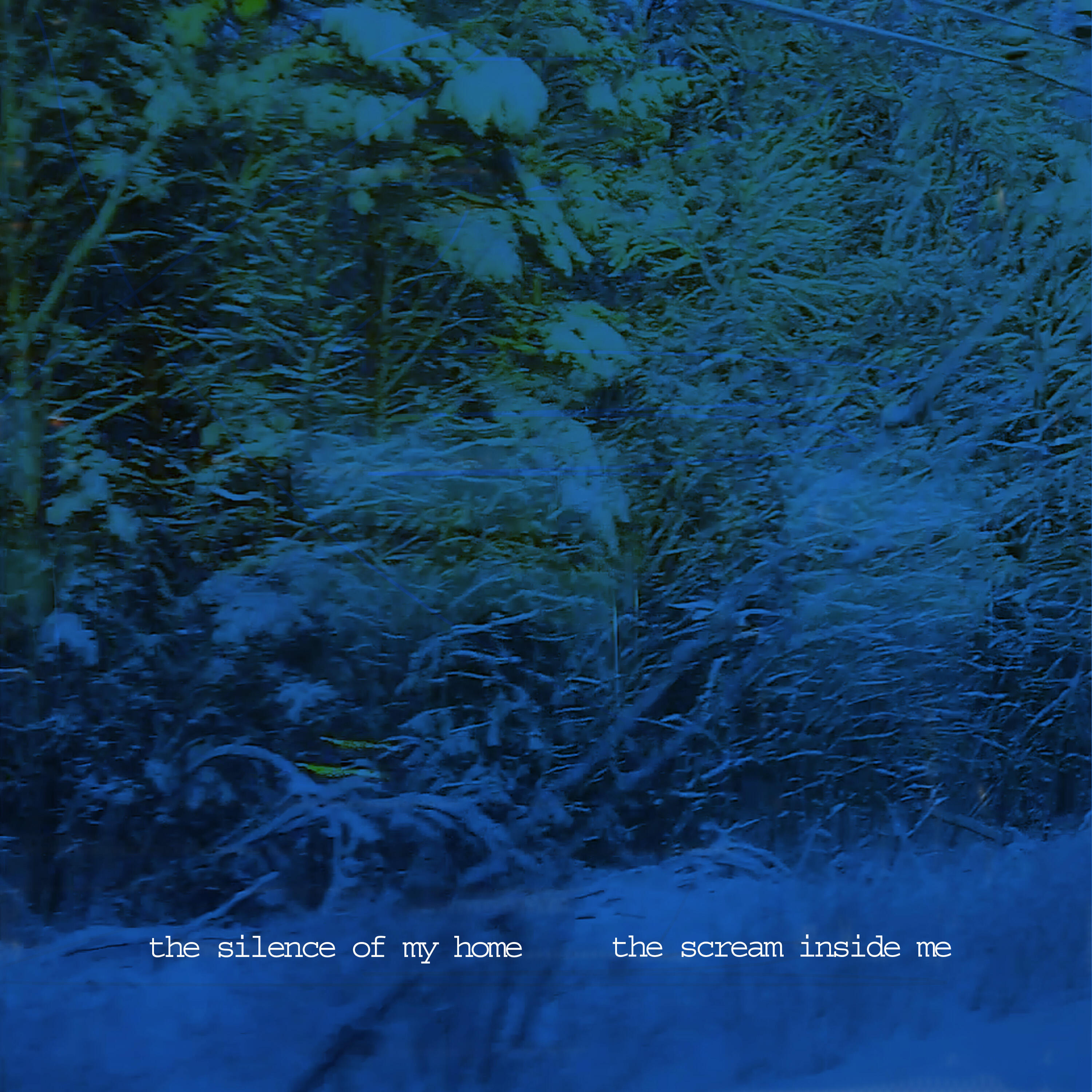 Релиз the silence of my home, the scream inside me