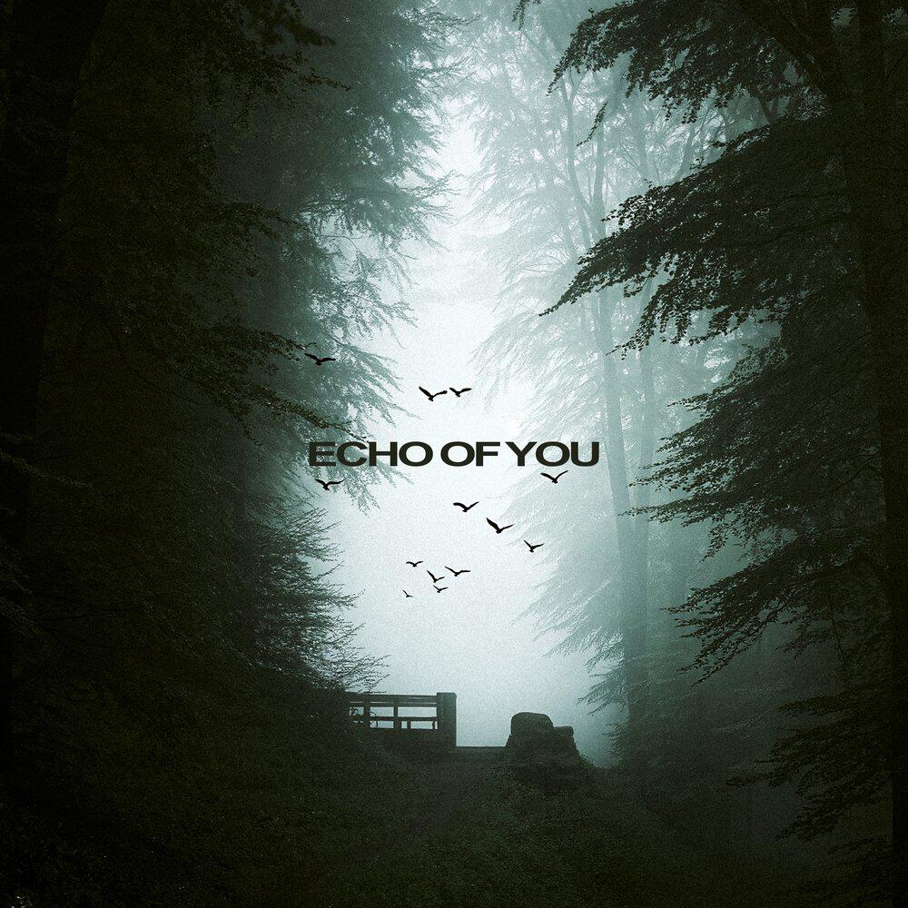 Релиз ECHO OF YOU