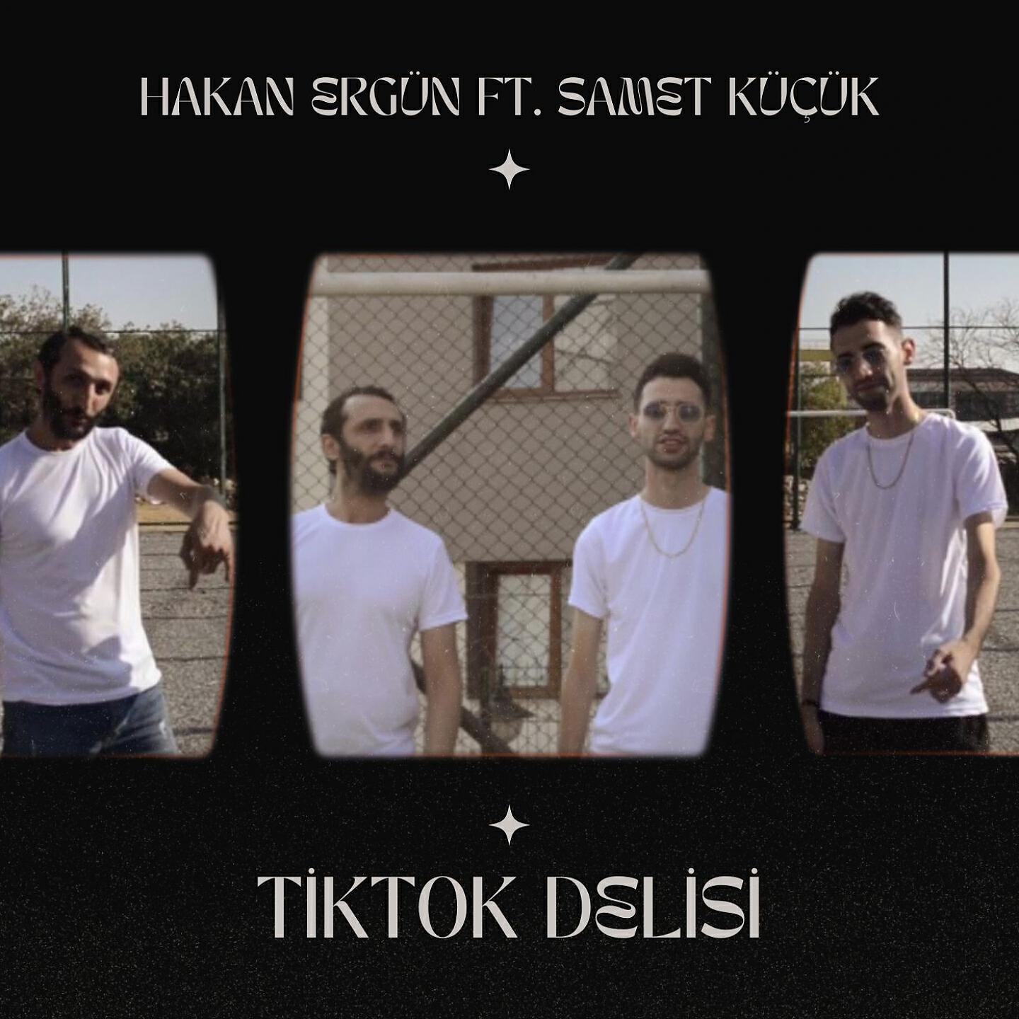 Релиз Tiktok Delisi