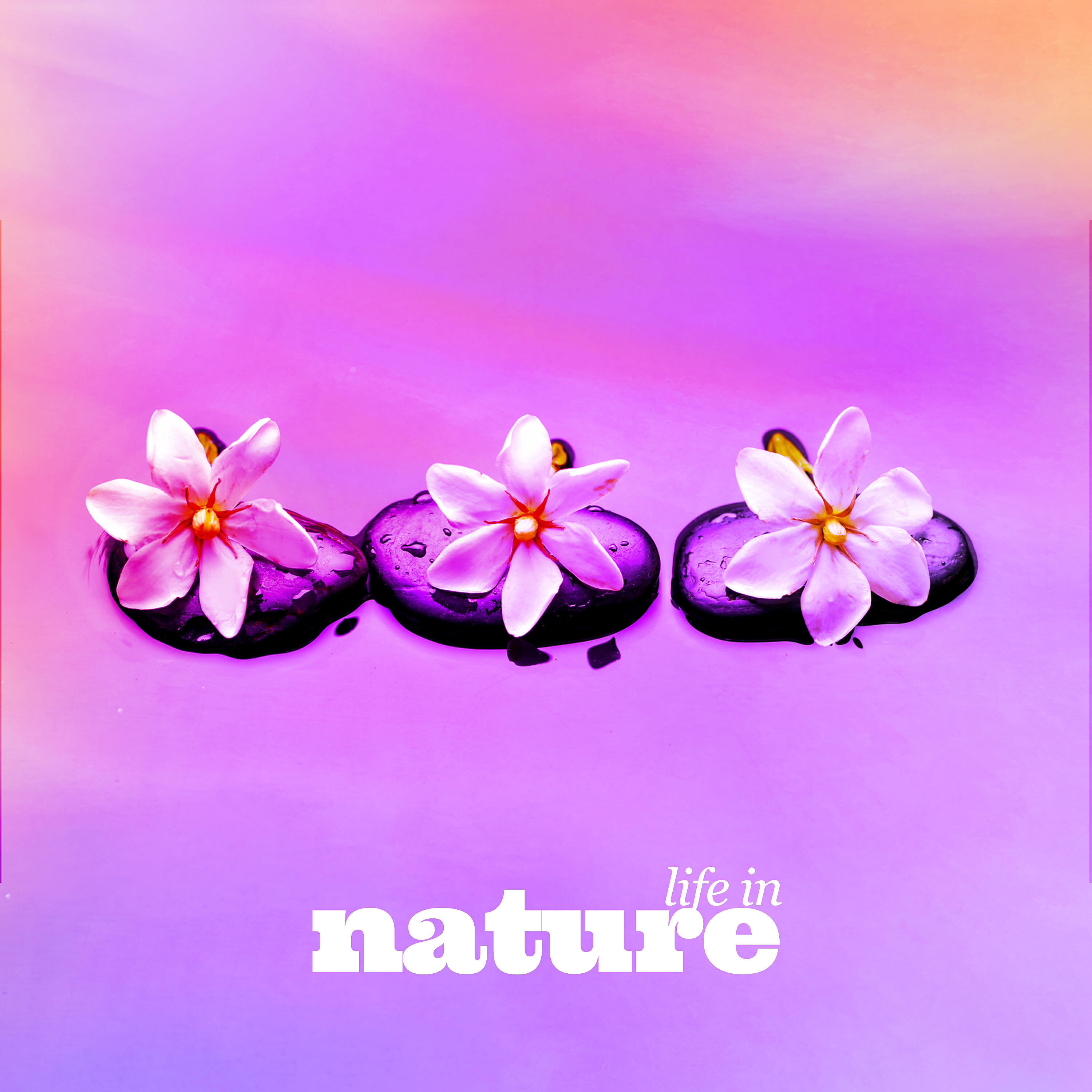 Релиз Life in Nature