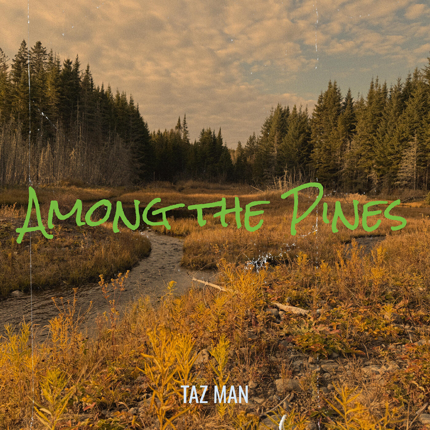 Релиз Among the Pines