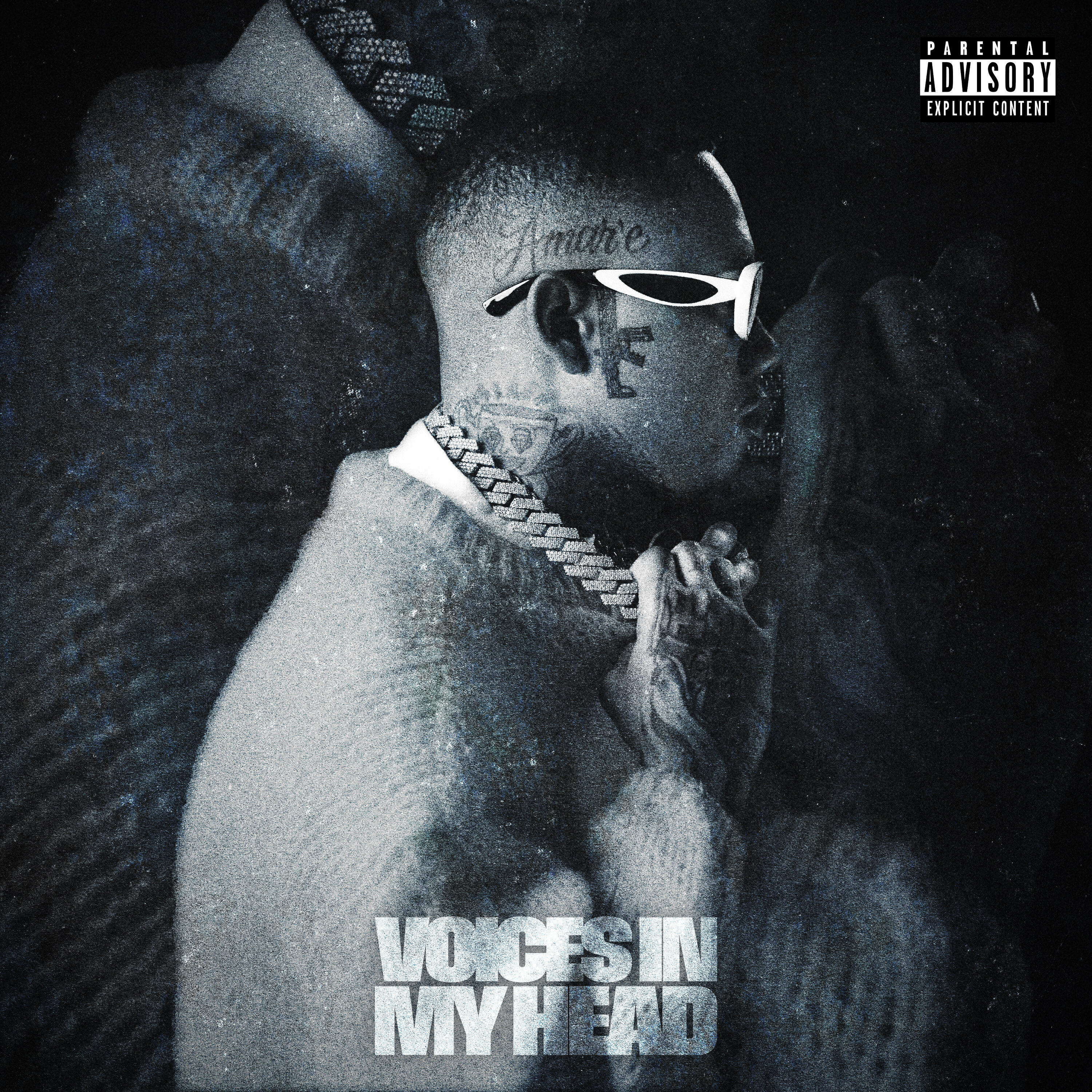 Релиз Voices in My Head