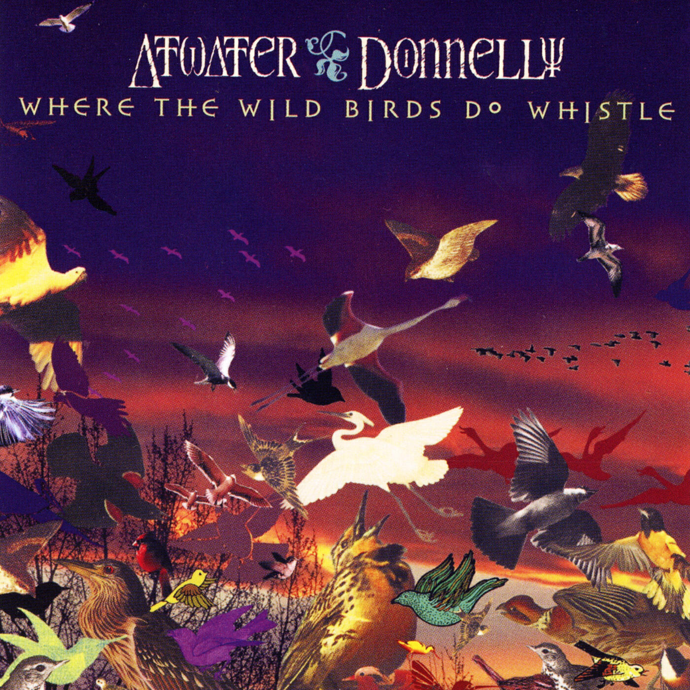 Релиз Where the Wild Birds Do Whistle