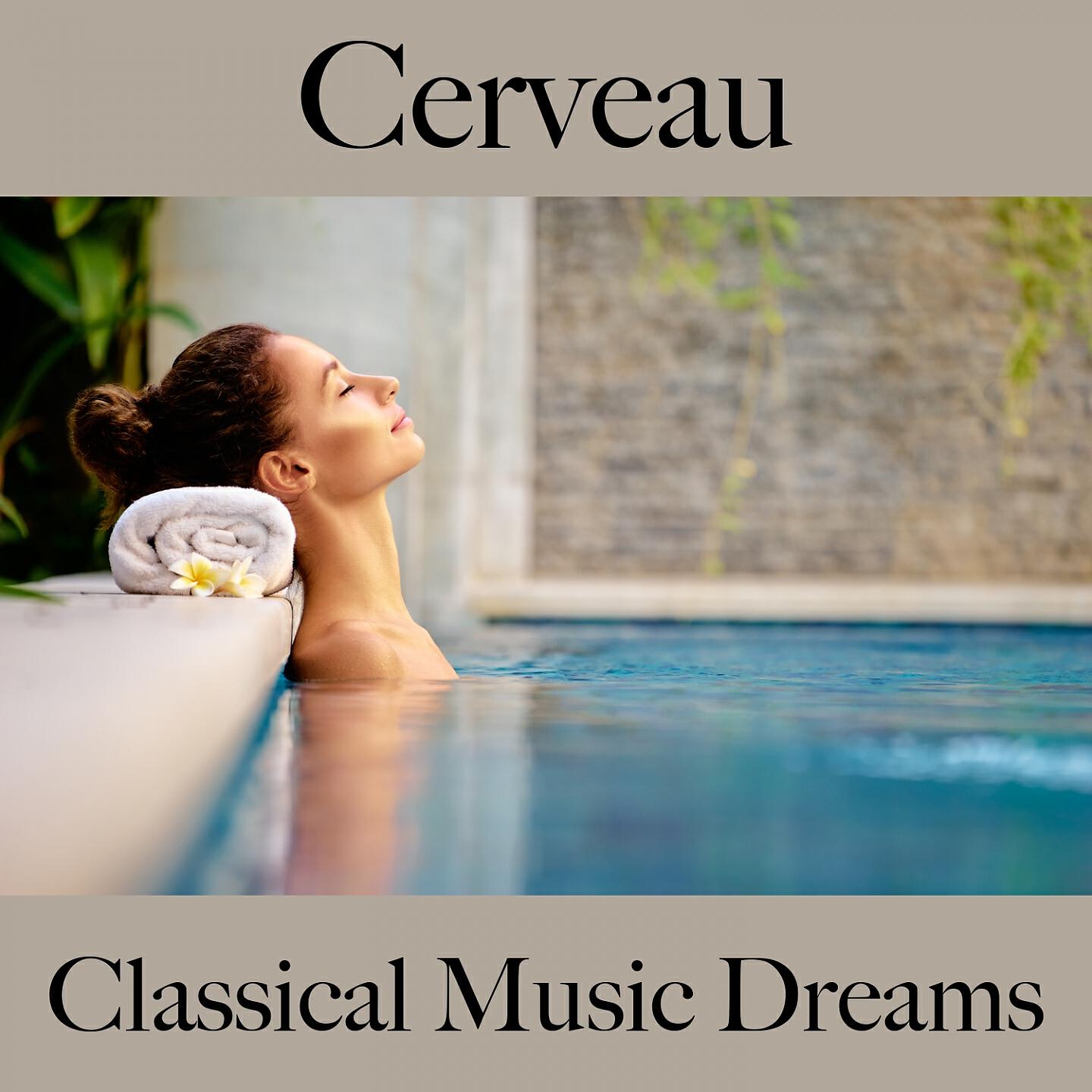Релиз Cerveau: Classical Music Dreams - La Meilleure Musique Pour Se Détendre