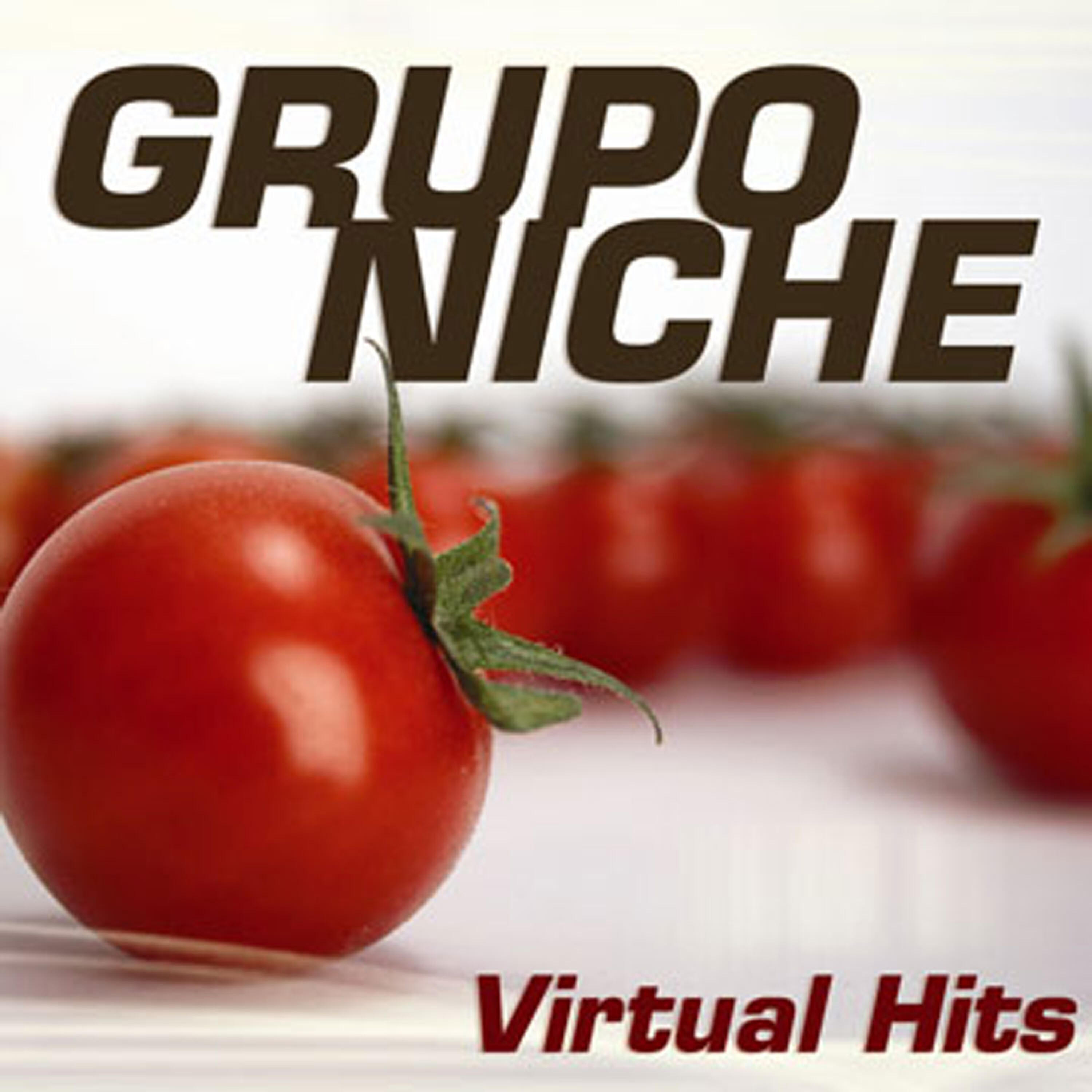 Постер альбома Virtual Hits