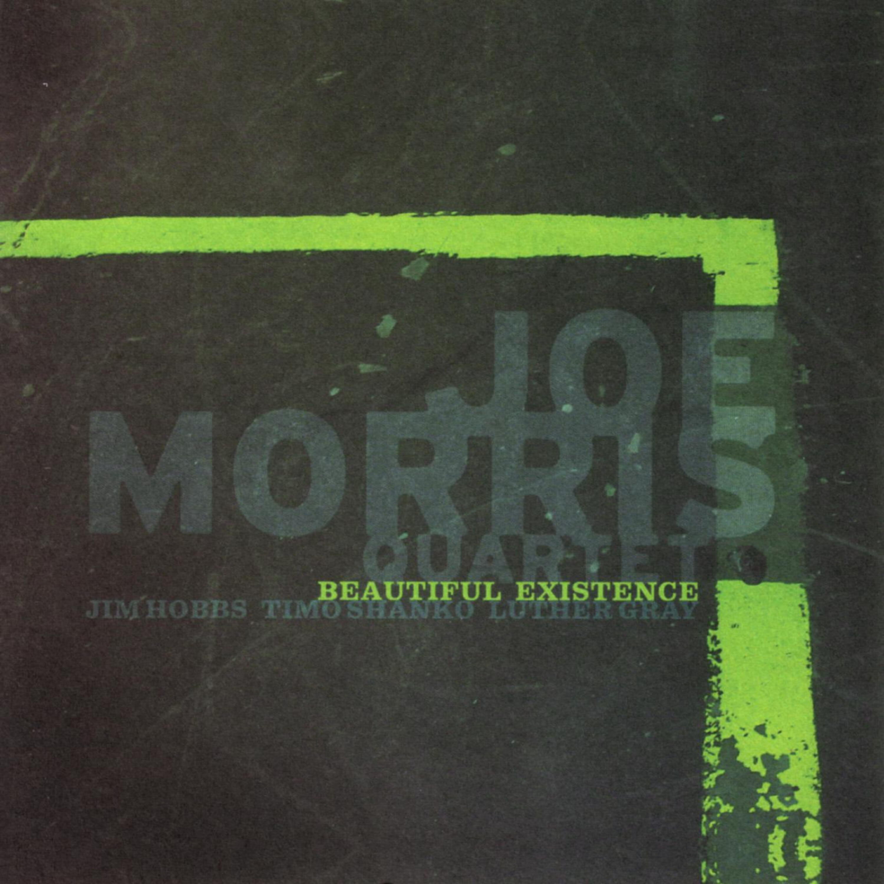 Релиз Beautiful Existence