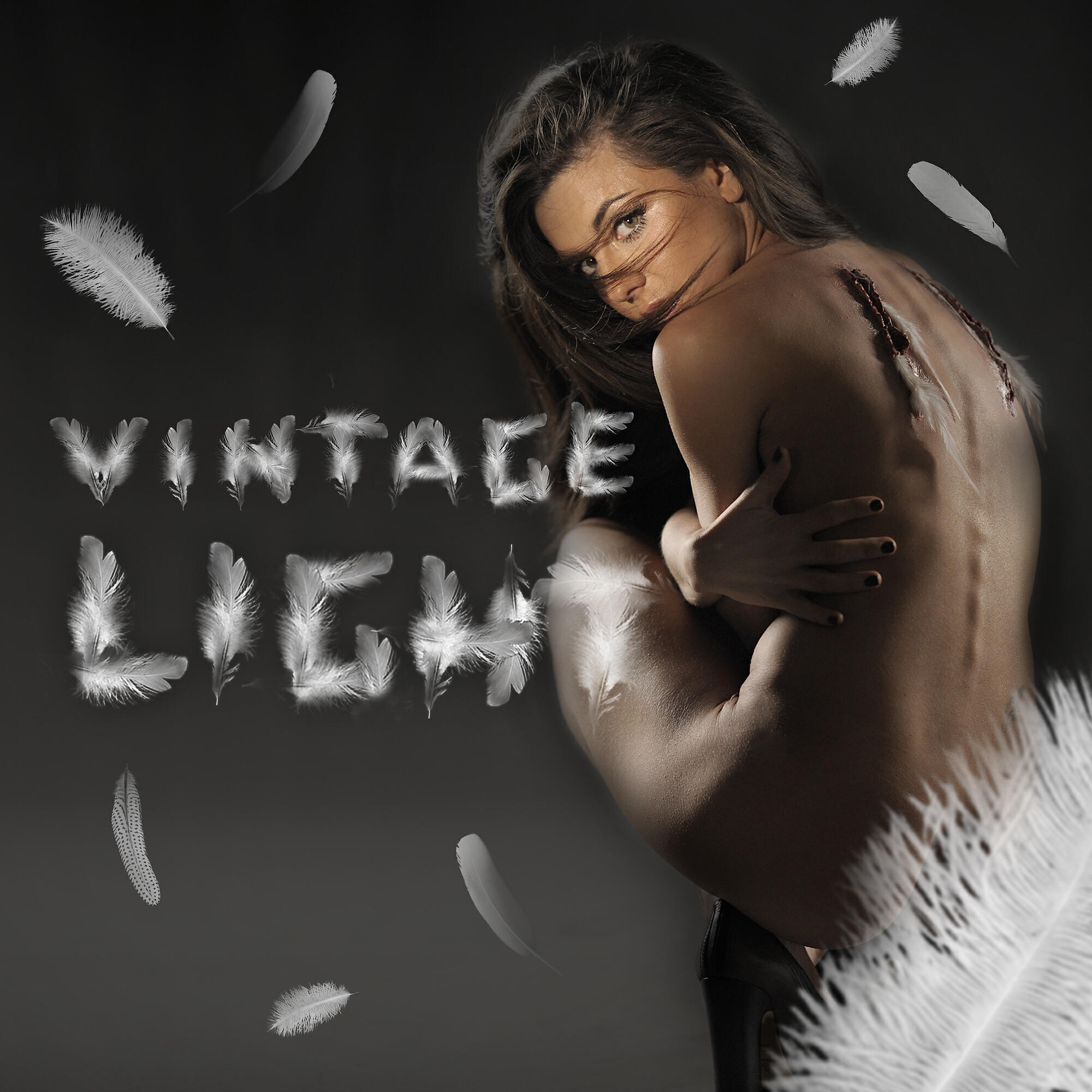 Релиз Light