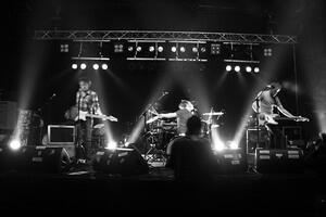 Cosmic Fools