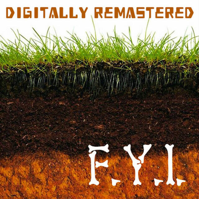 Релиз F.Y.I. (Digitally Remastered)