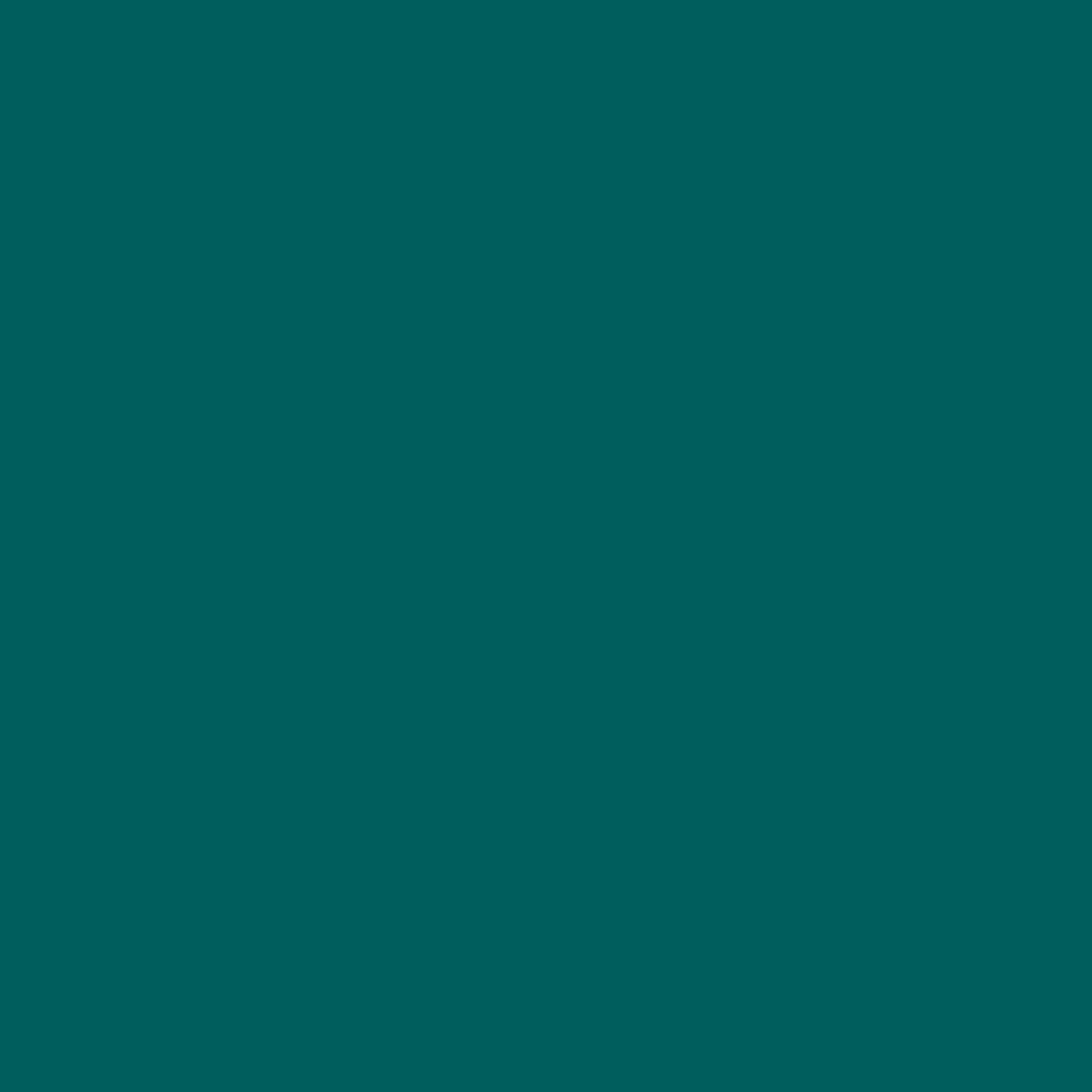 Релиз BLANK