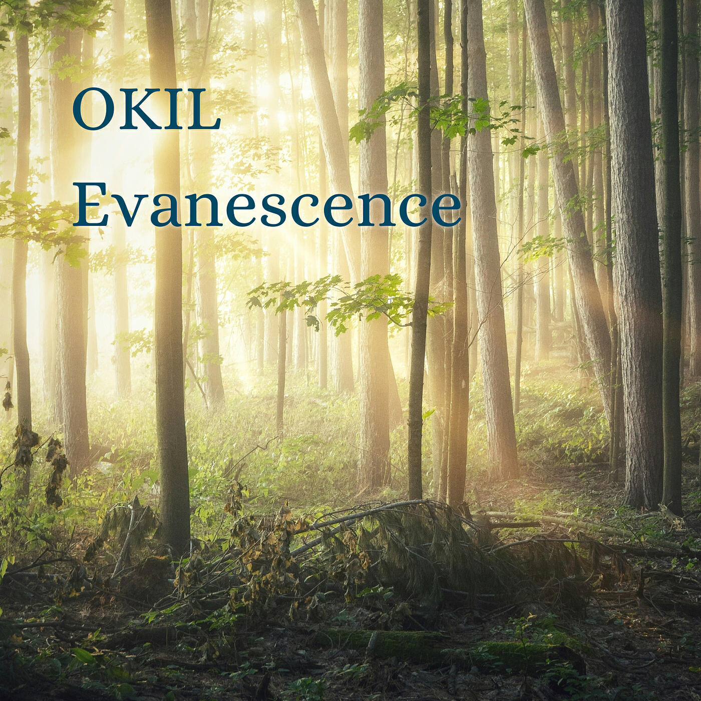 Релиз Evanescence