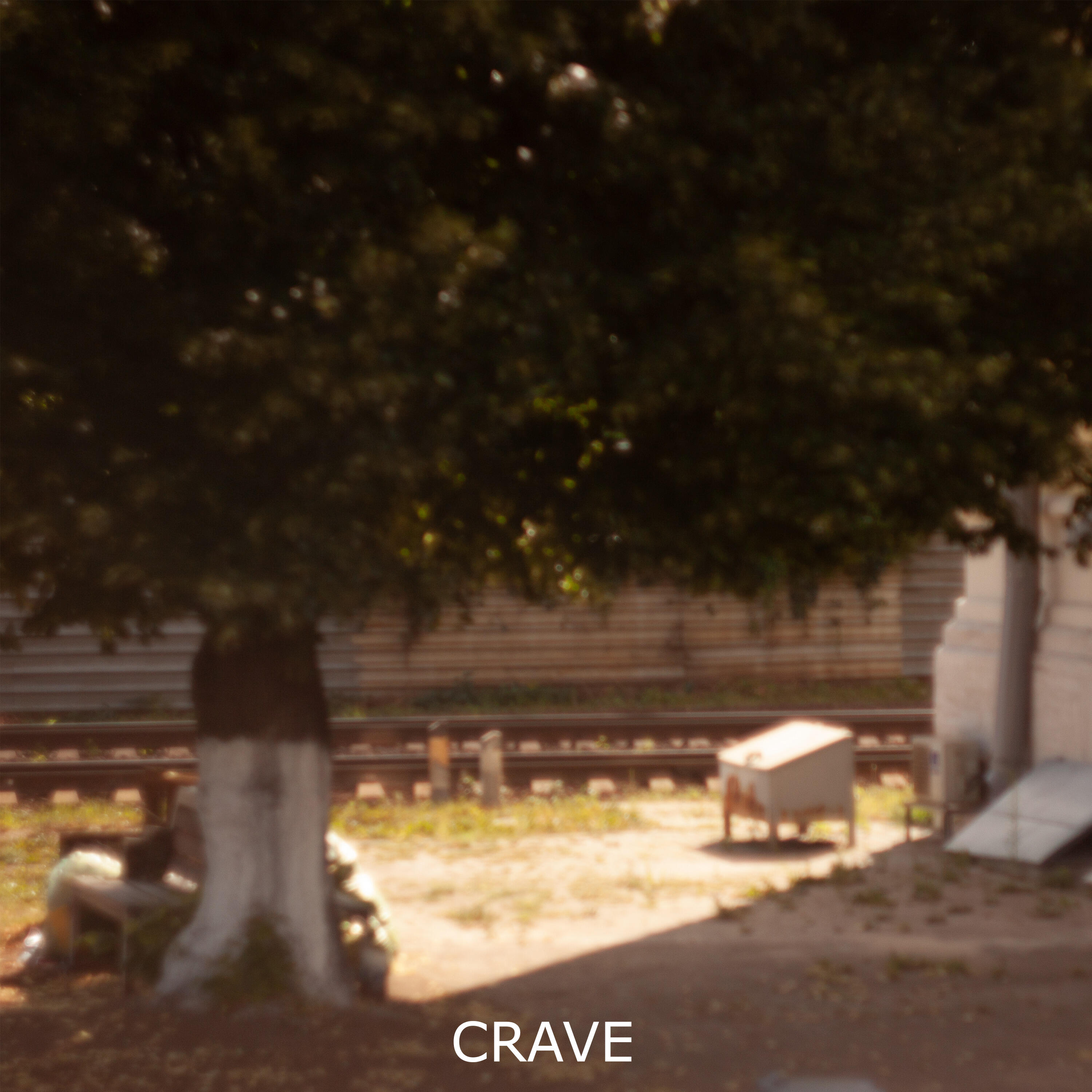 Релиз Crave
