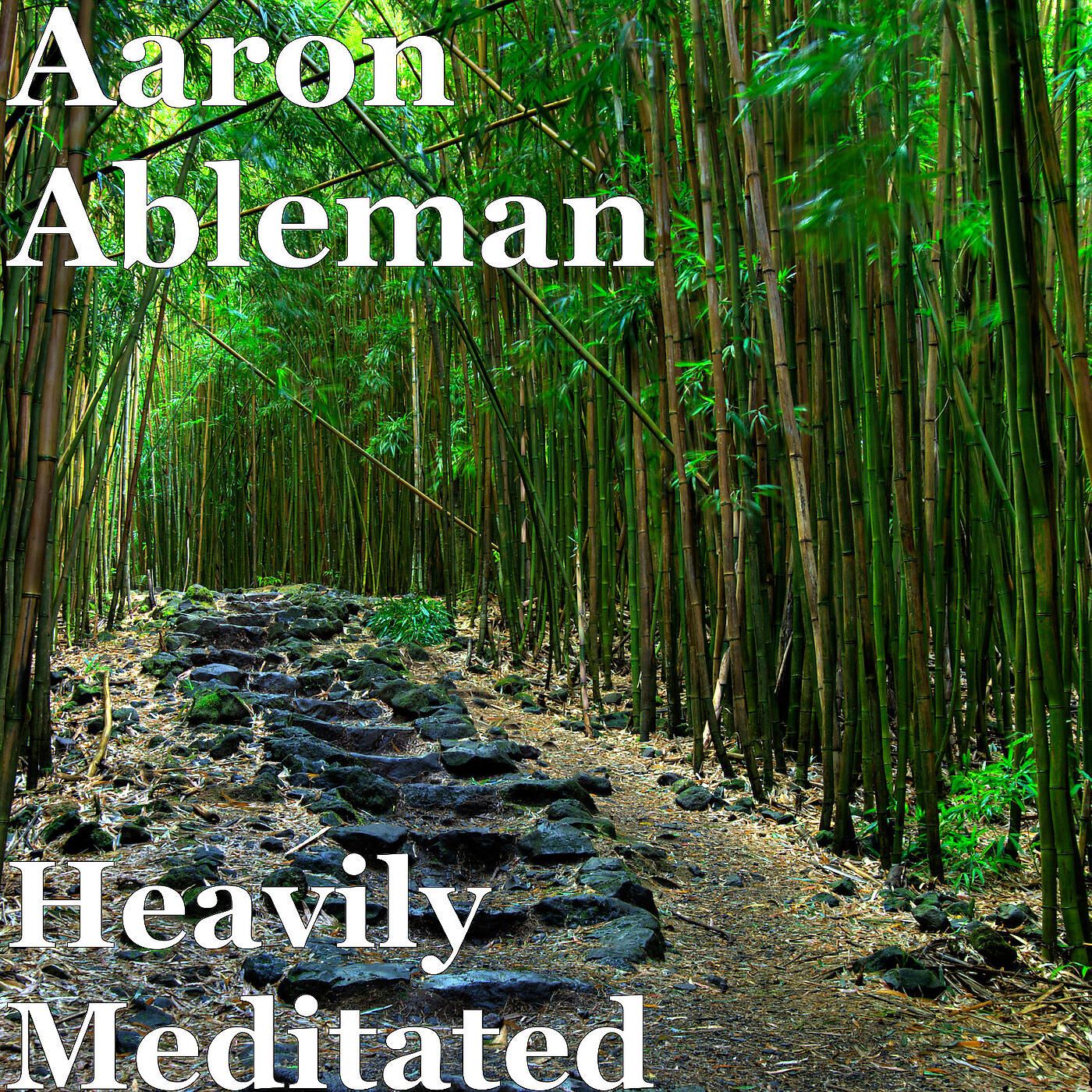Aaron Ableman