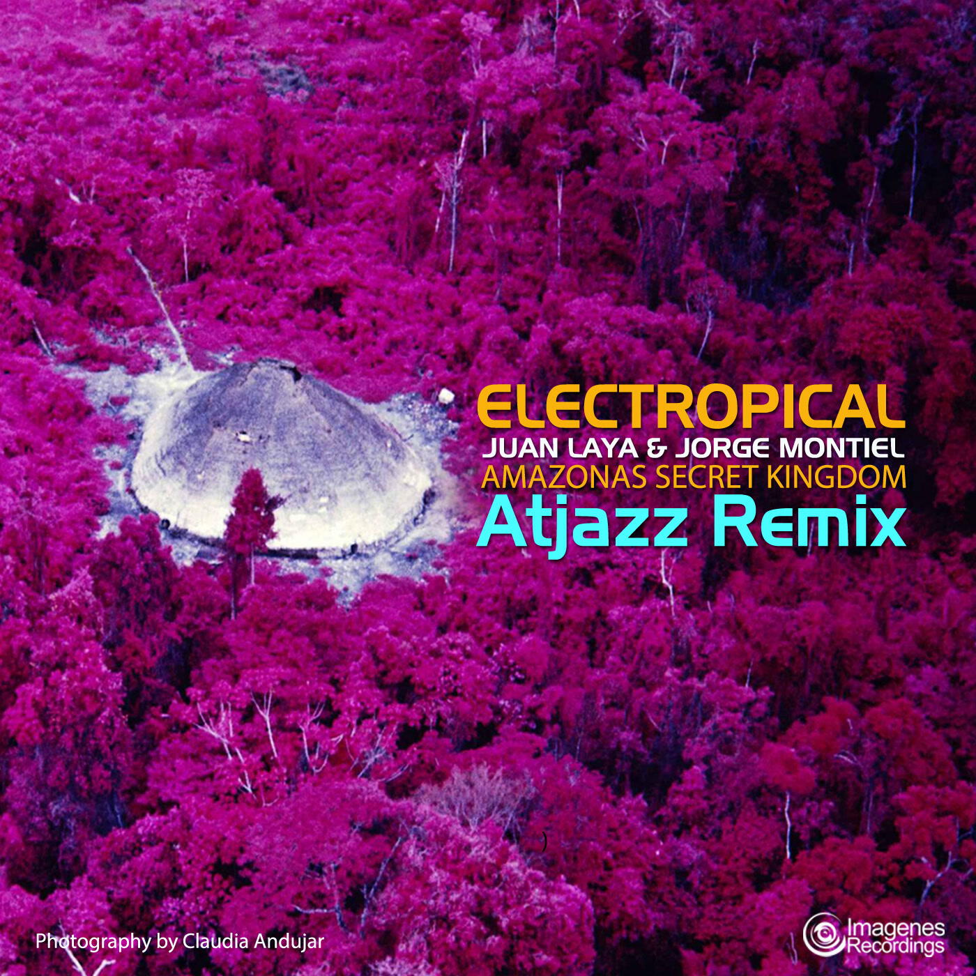 Релиз Electropical: Amazonas Secret Kingdom (Atjazz Remix)