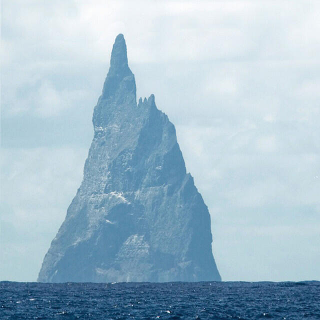 Релиз Matilda/Fitzpleasure